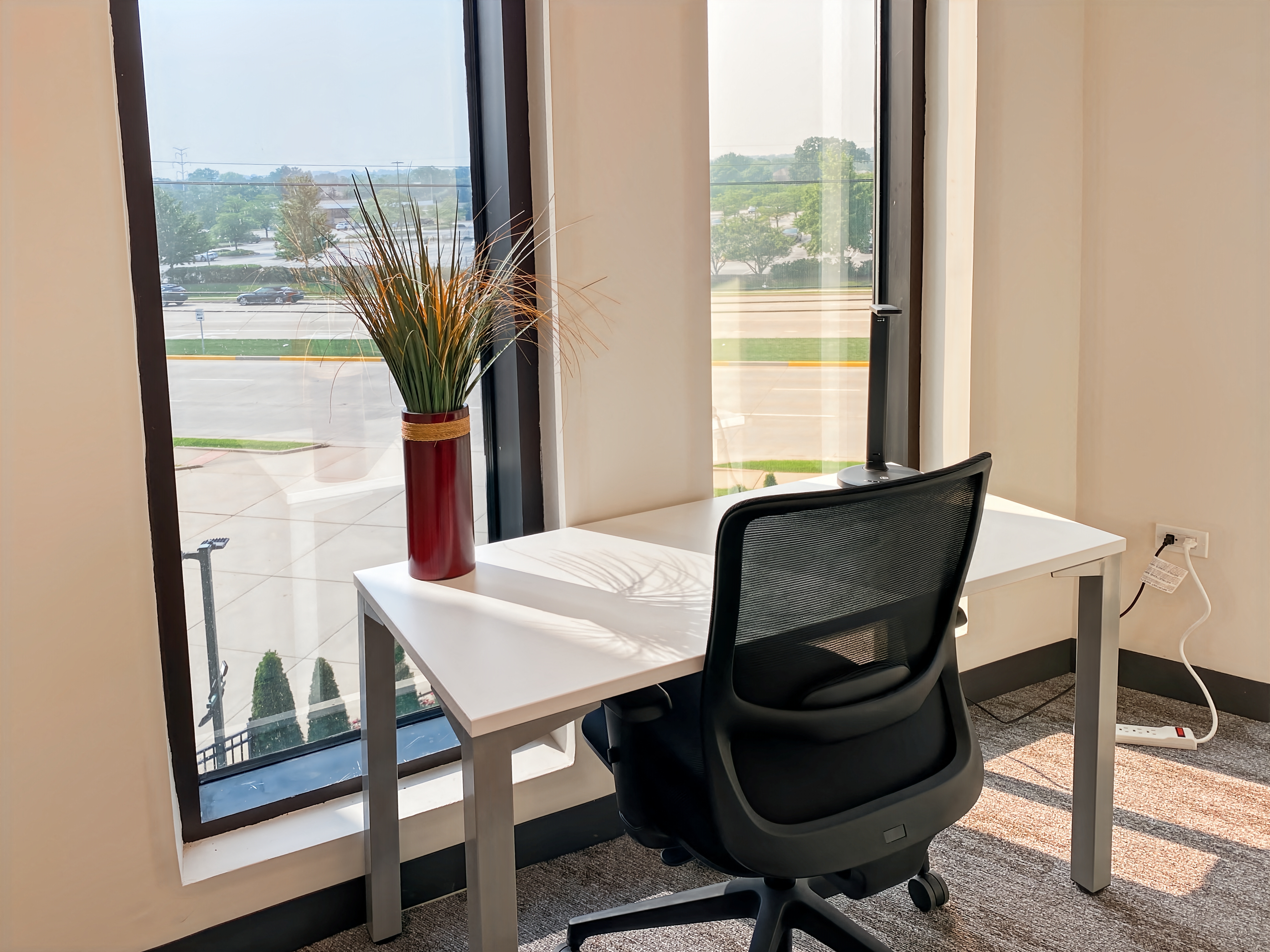 Private Office To Rent, Chicago, 60181 – photo 4