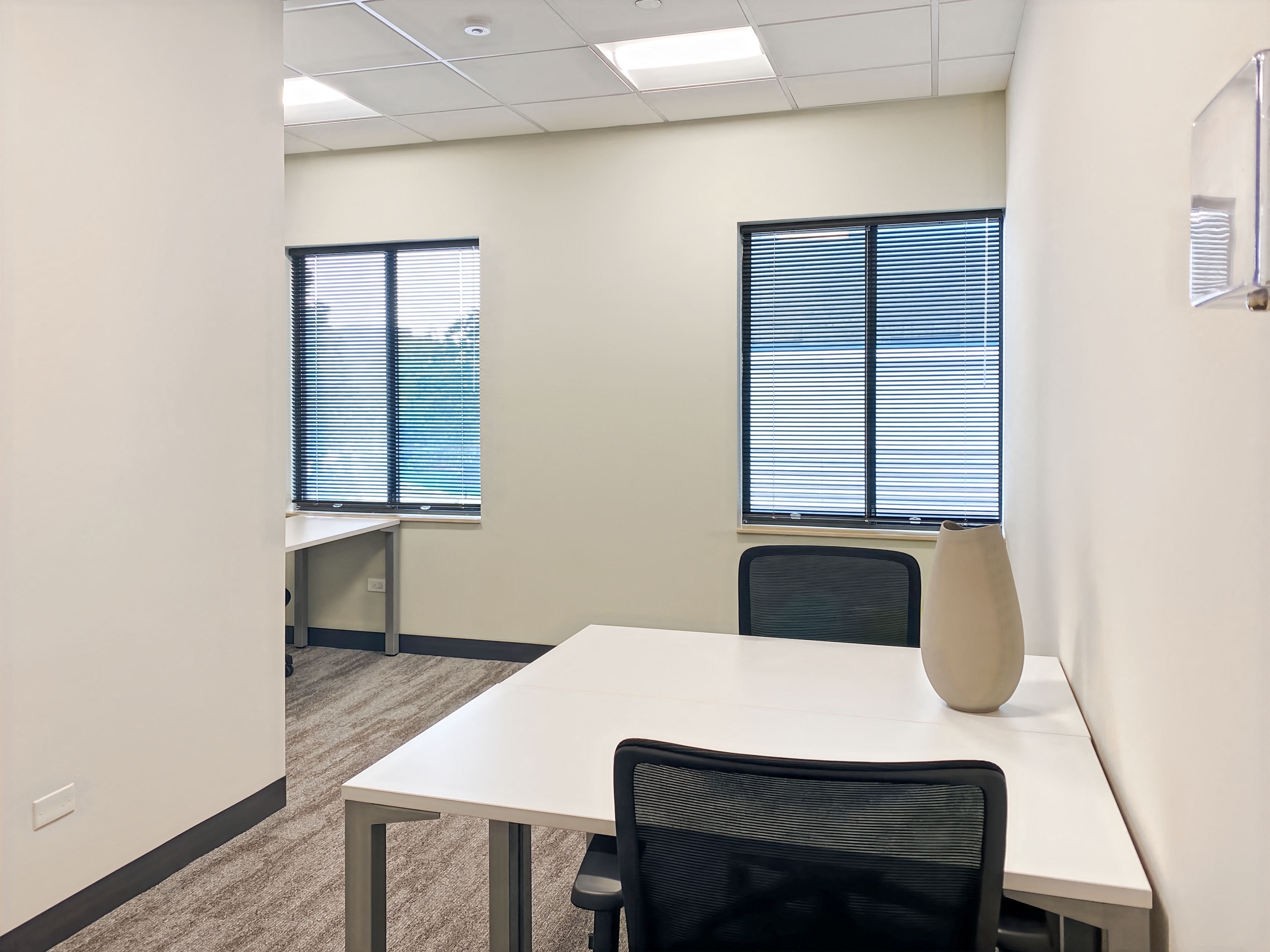 Private Office To Rent, Chicago, 60181 – photo 3