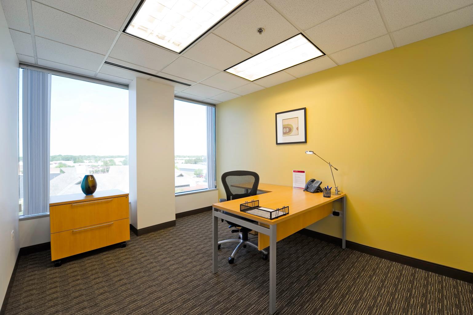 Private Office To Rent, Chicago, 60462 – photo 1