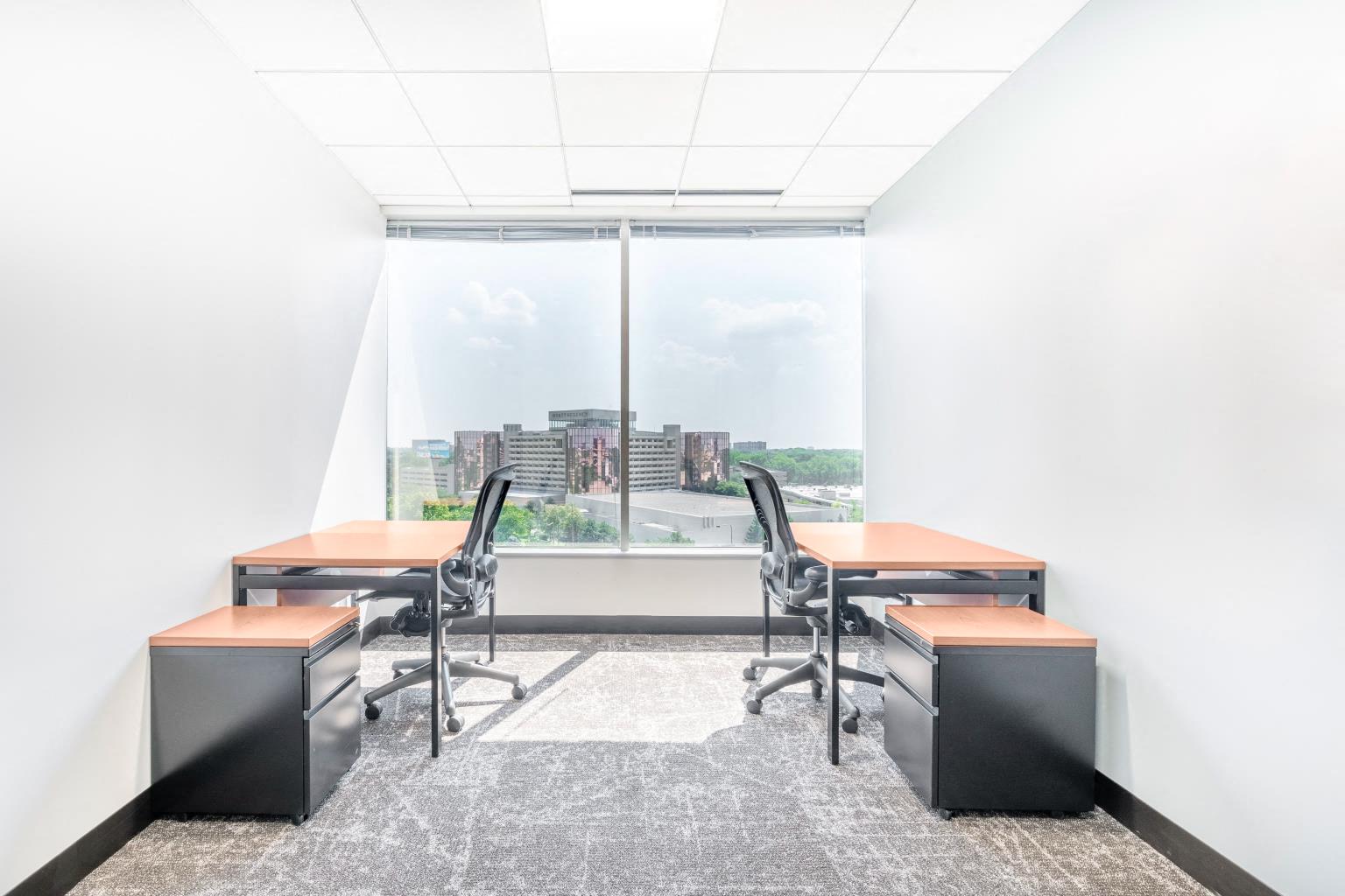 Private Office To Rent, Chicago, 60018 – photo 3