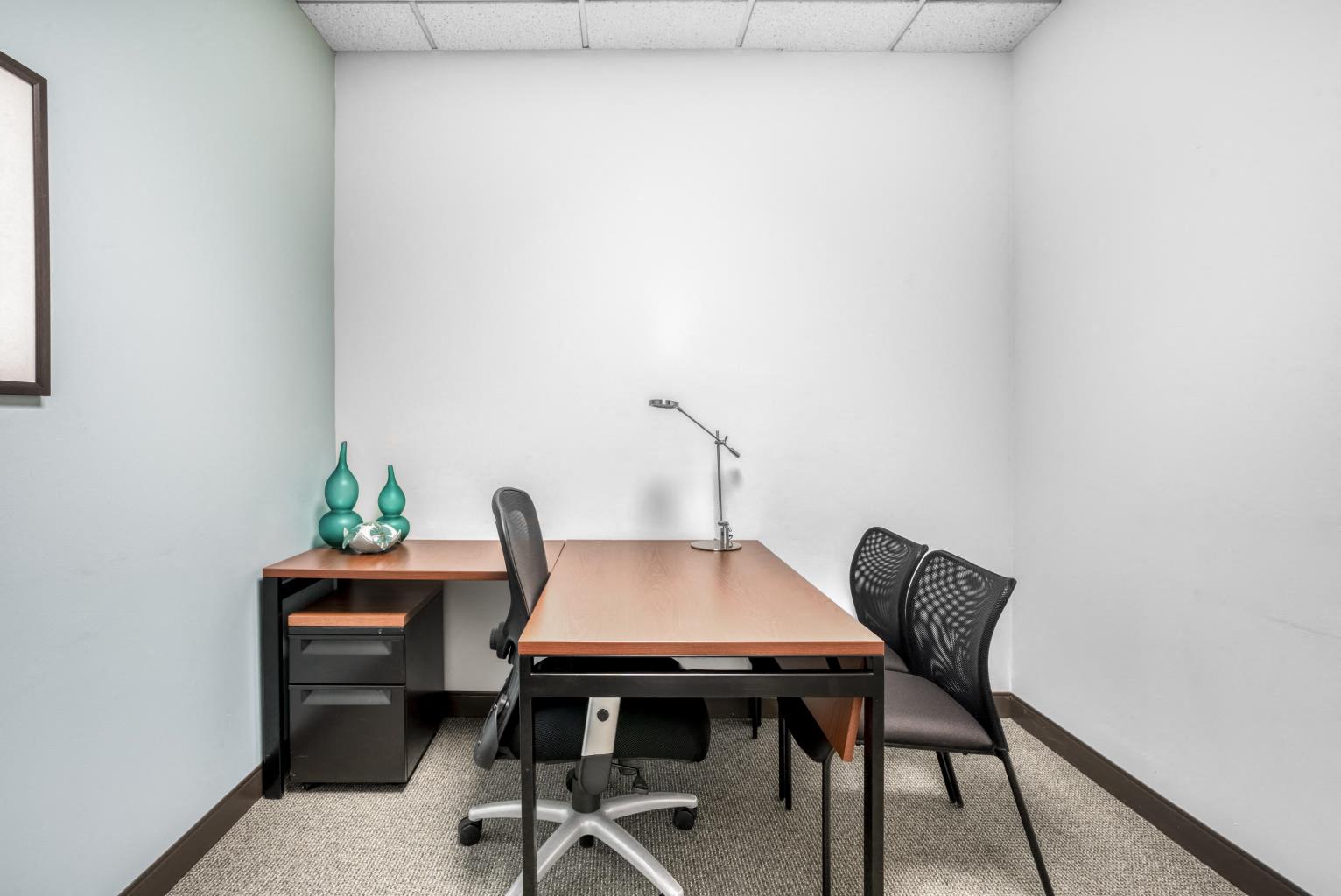 Private Office To Rent, Chicago, 60173 – photo 2