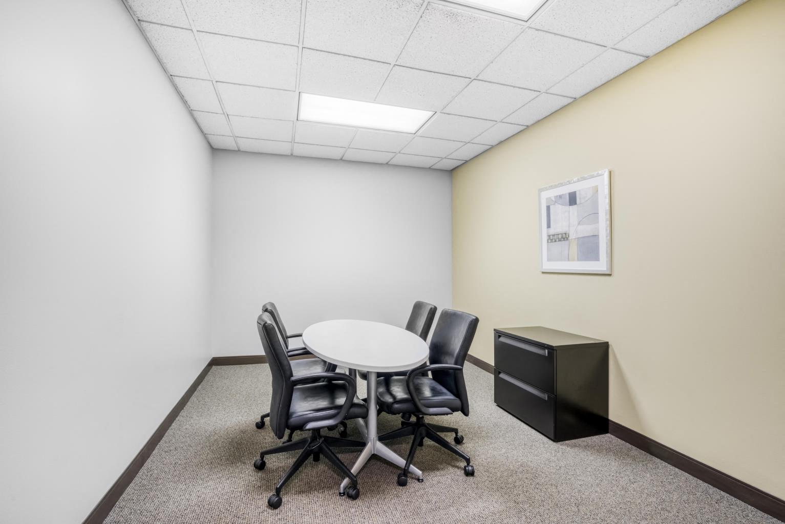 Private Office To Rent, Chicago, 60173 – photo 6