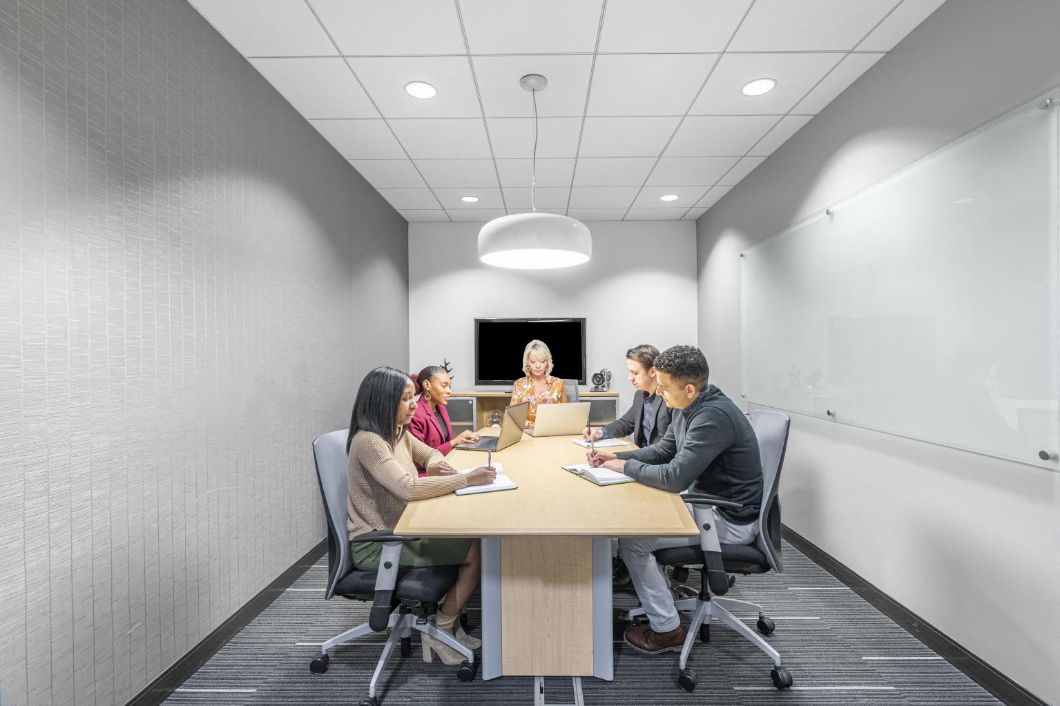 Private Office To Rent, Chicago, 60173 – photo 6