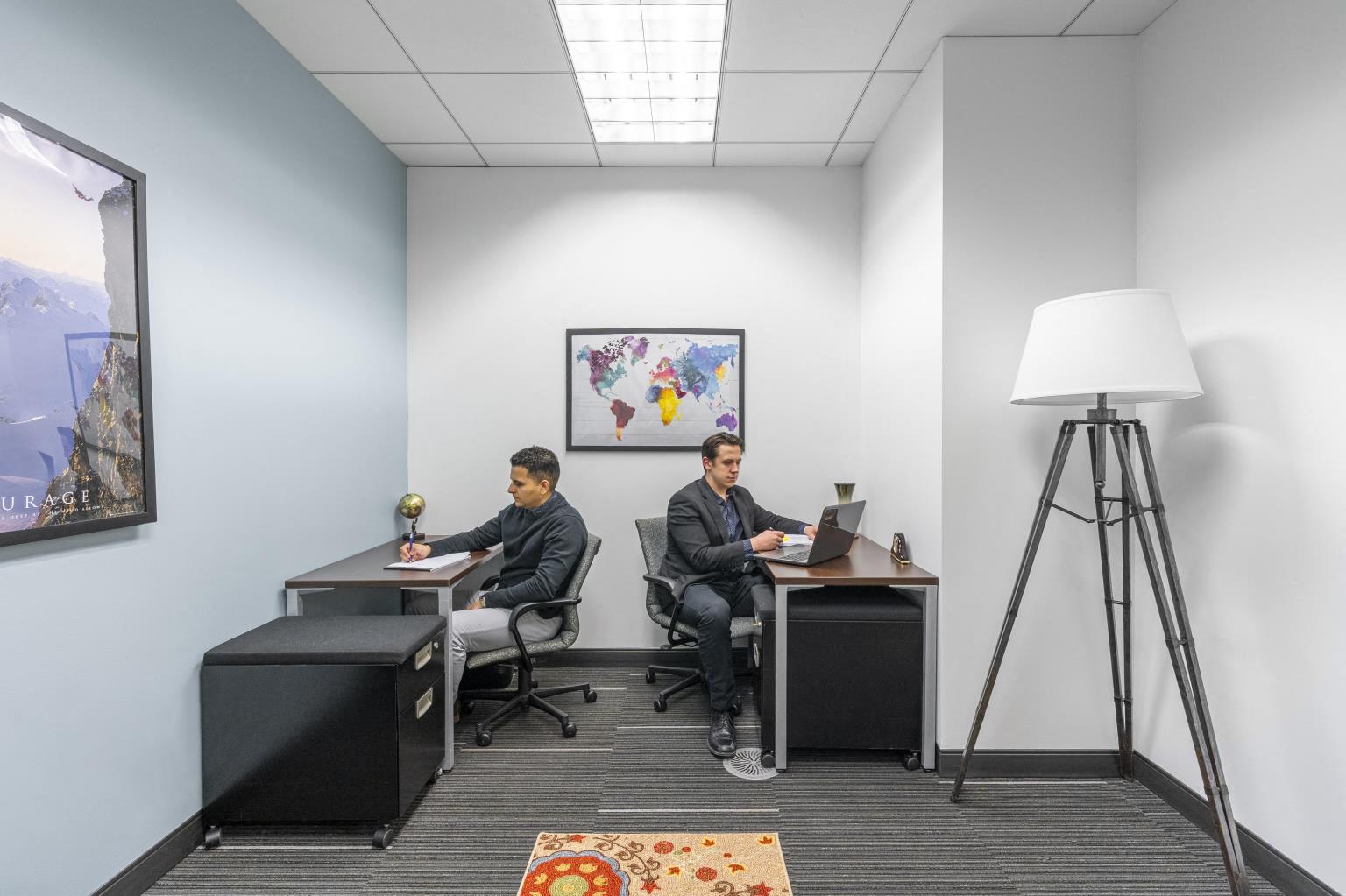 Private Office To Rent, Chicago, 60173 – photo 4