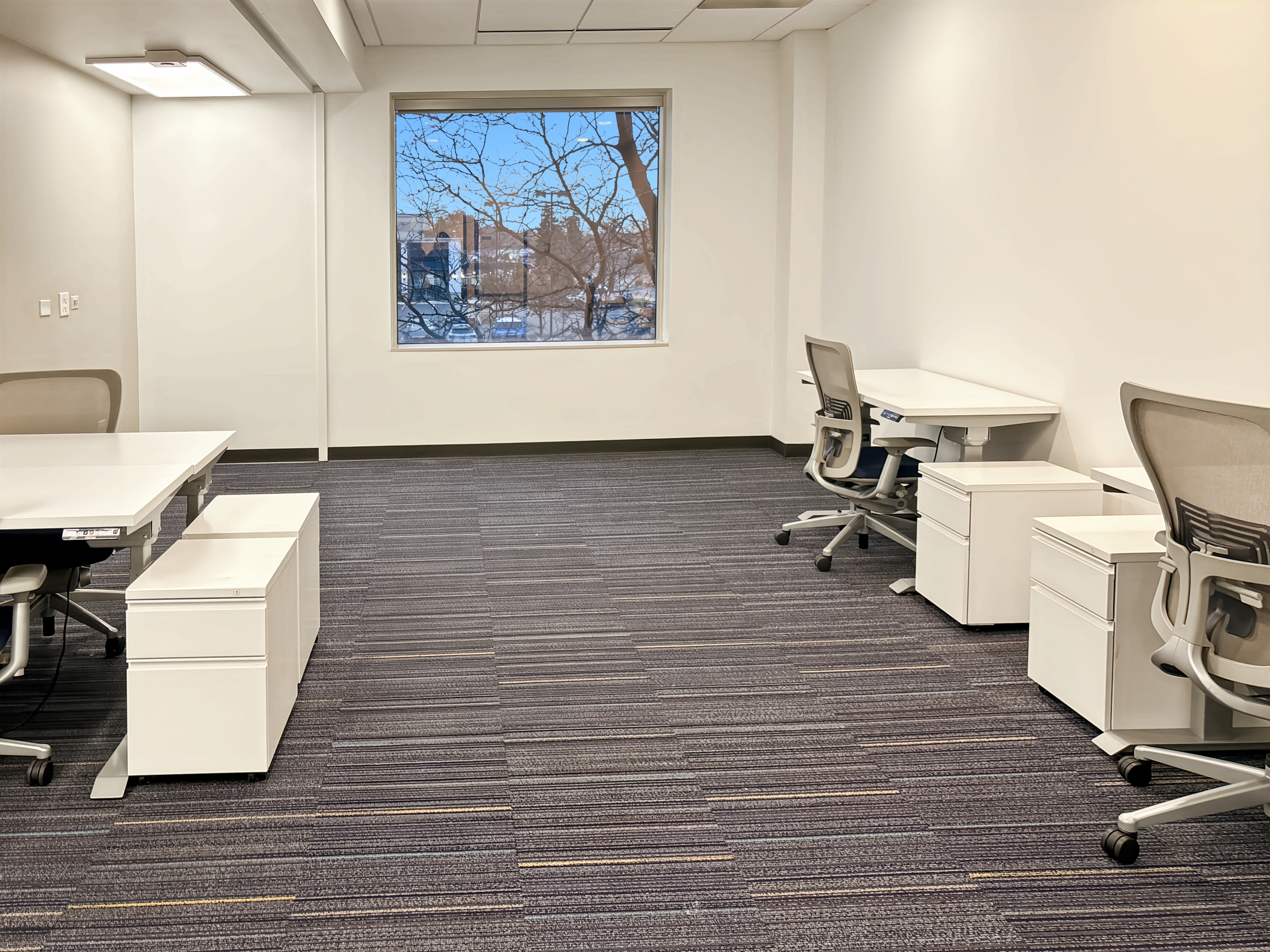 Private Office To Rent, Chicago, 60173 – photo 4