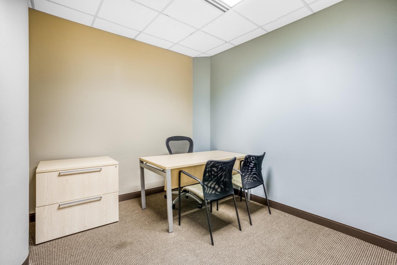 Private Office To Rent, Chicago, 60077 – photo 3