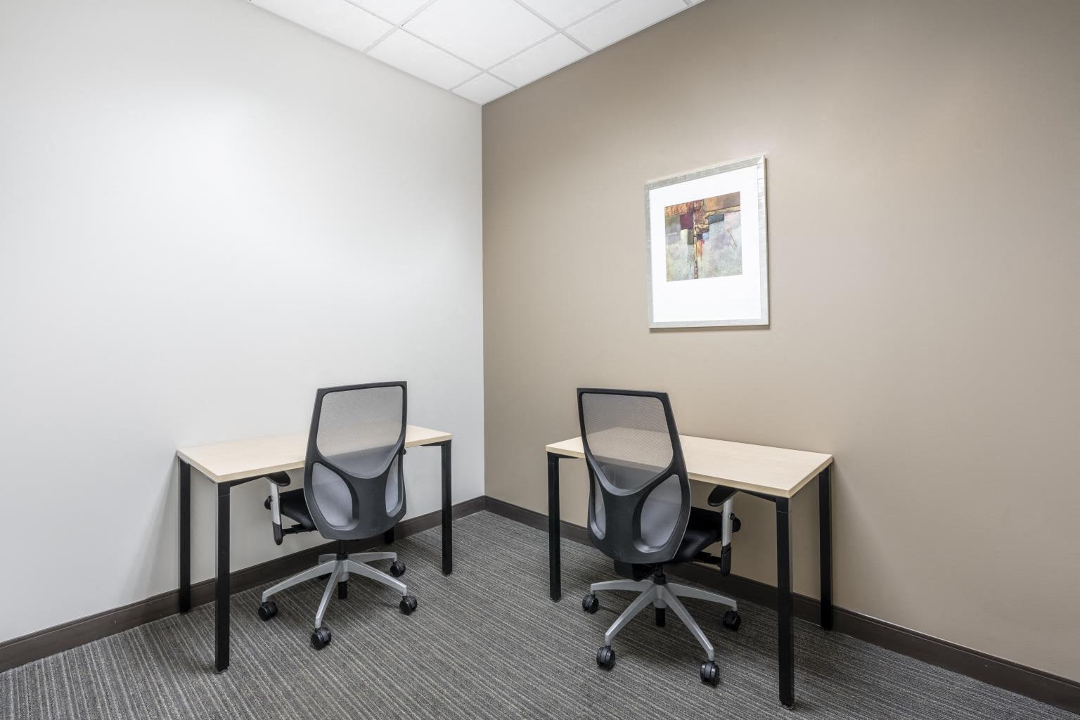 Private Office To Rent, Chicago, 60174 – photo 3