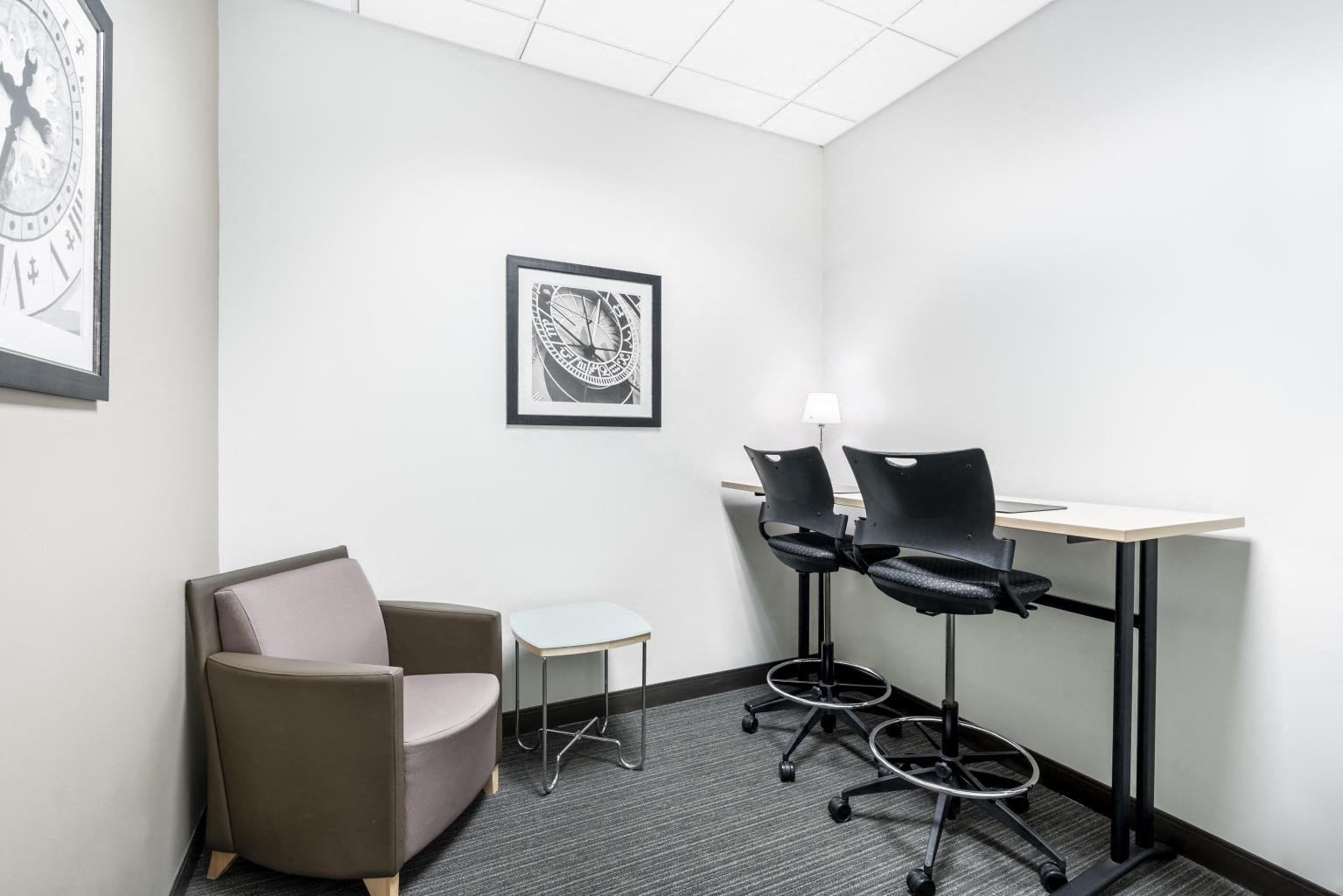 Private Office To Rent, Chicago, 60174 – photo 4