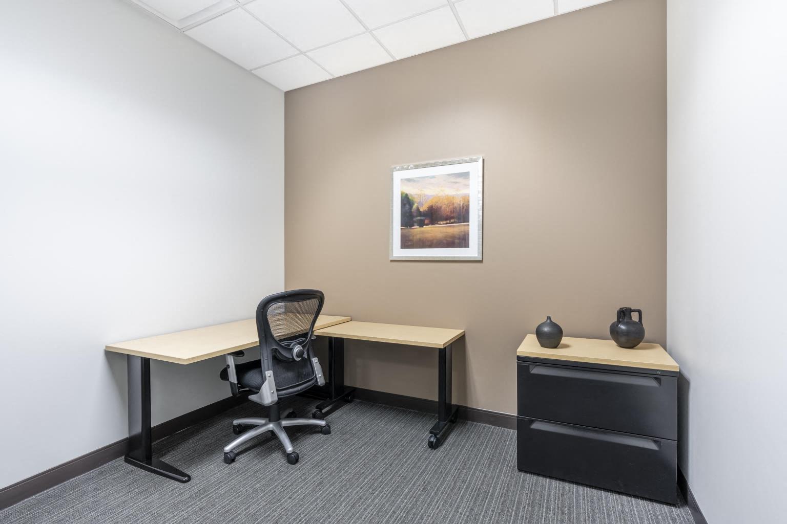 Private Office To Rent, Chicago, 60174 – photo 2