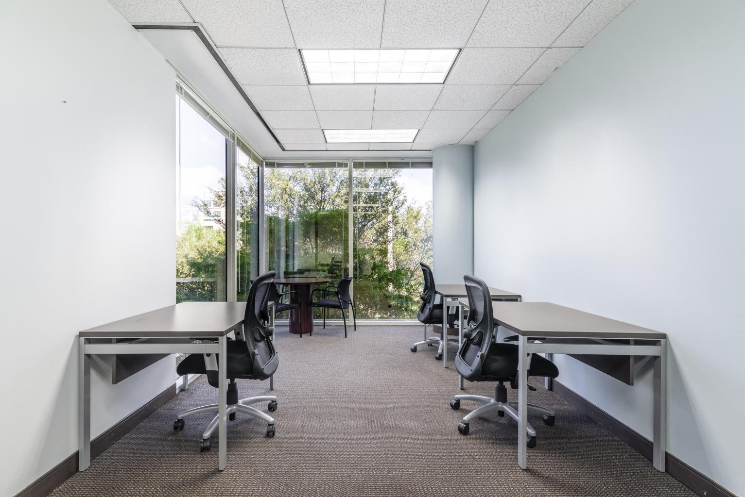 Private Office To Rent, Chicago, 60061 – photo 5