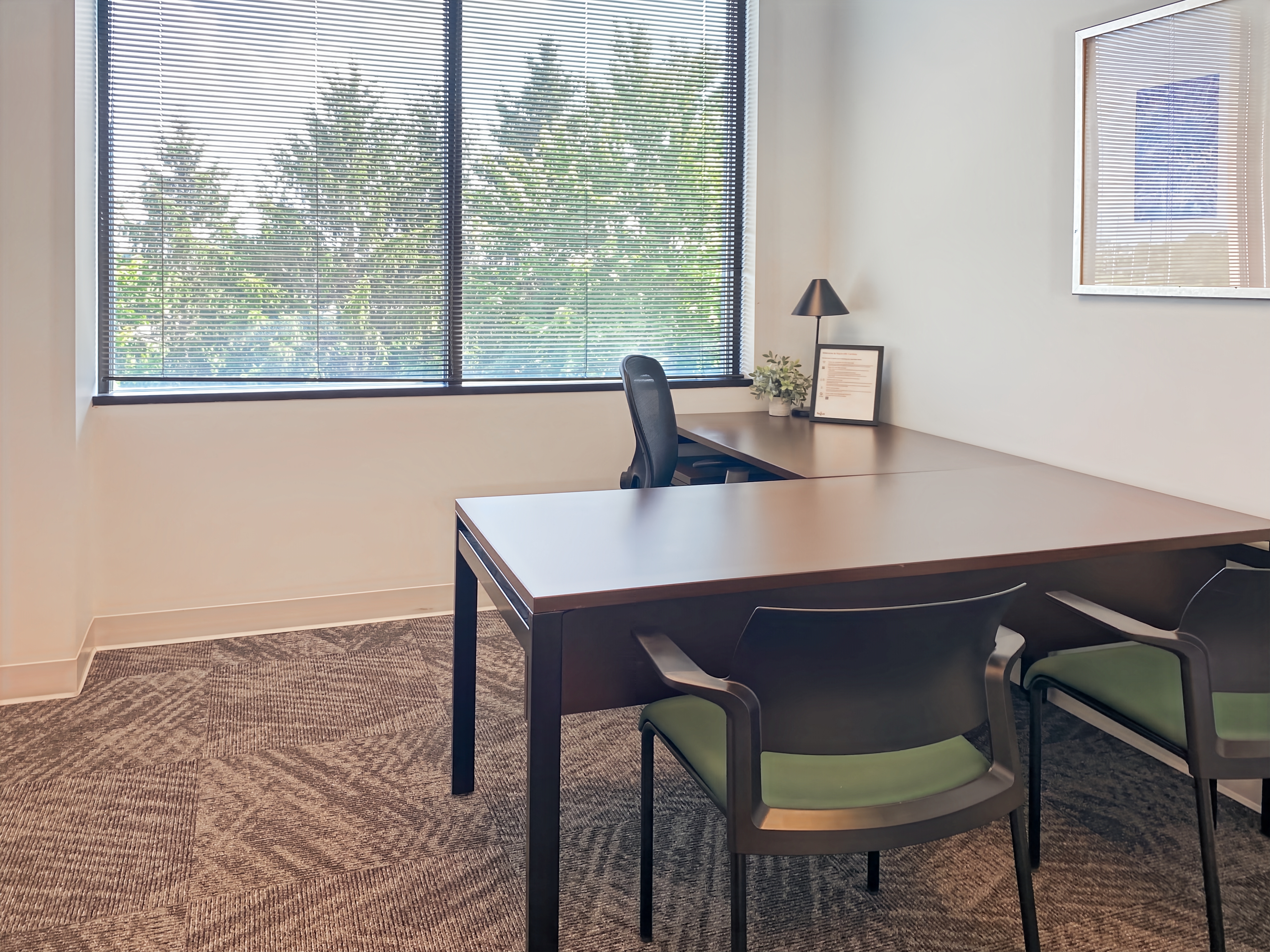 Private Office To Rent, Chicago, 60555 – photo 6