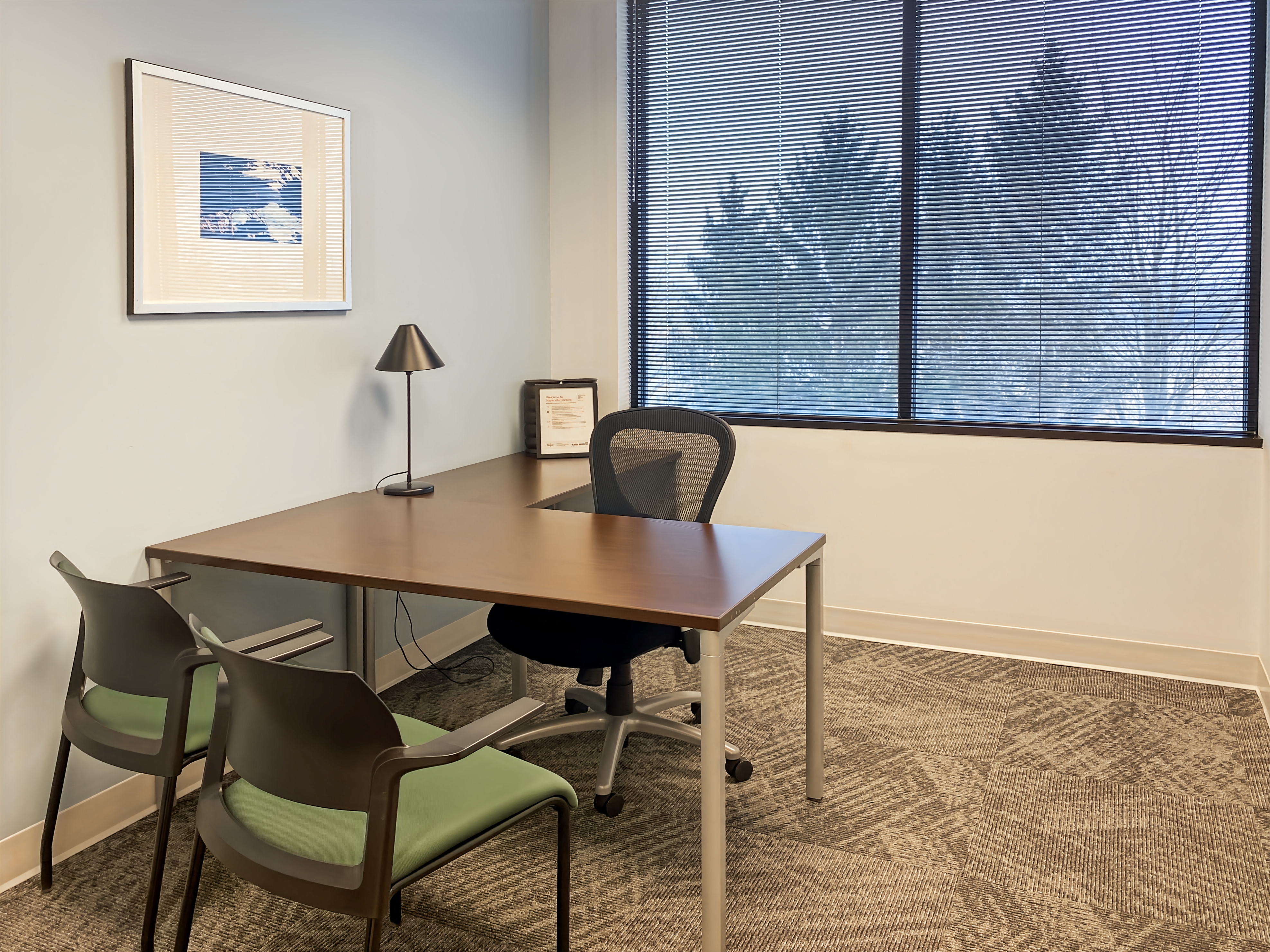 Private Office To Rent, Chicago, 60555 – photo 2
