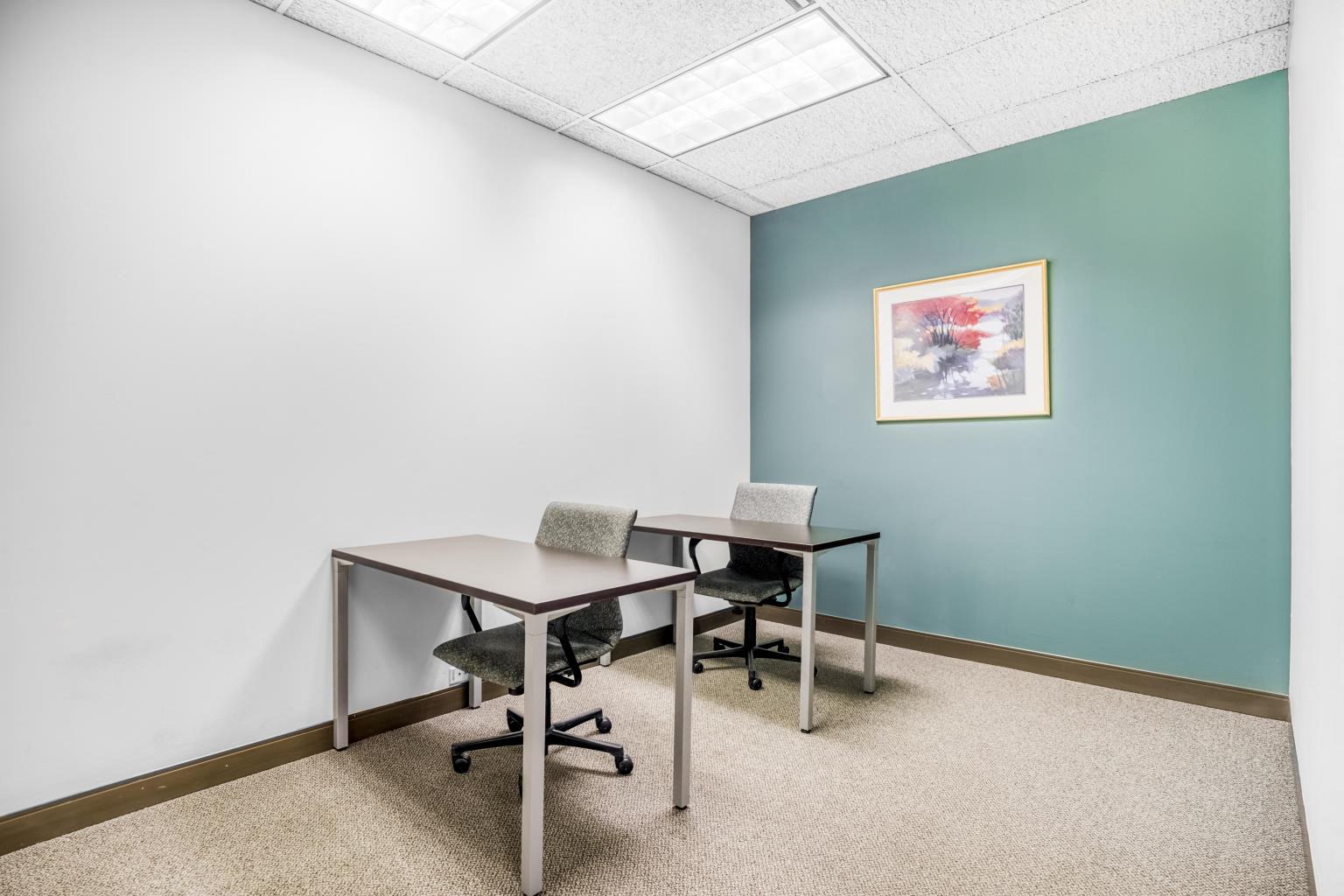 Private Office To Rent, Chicago, 60154 – photo 3