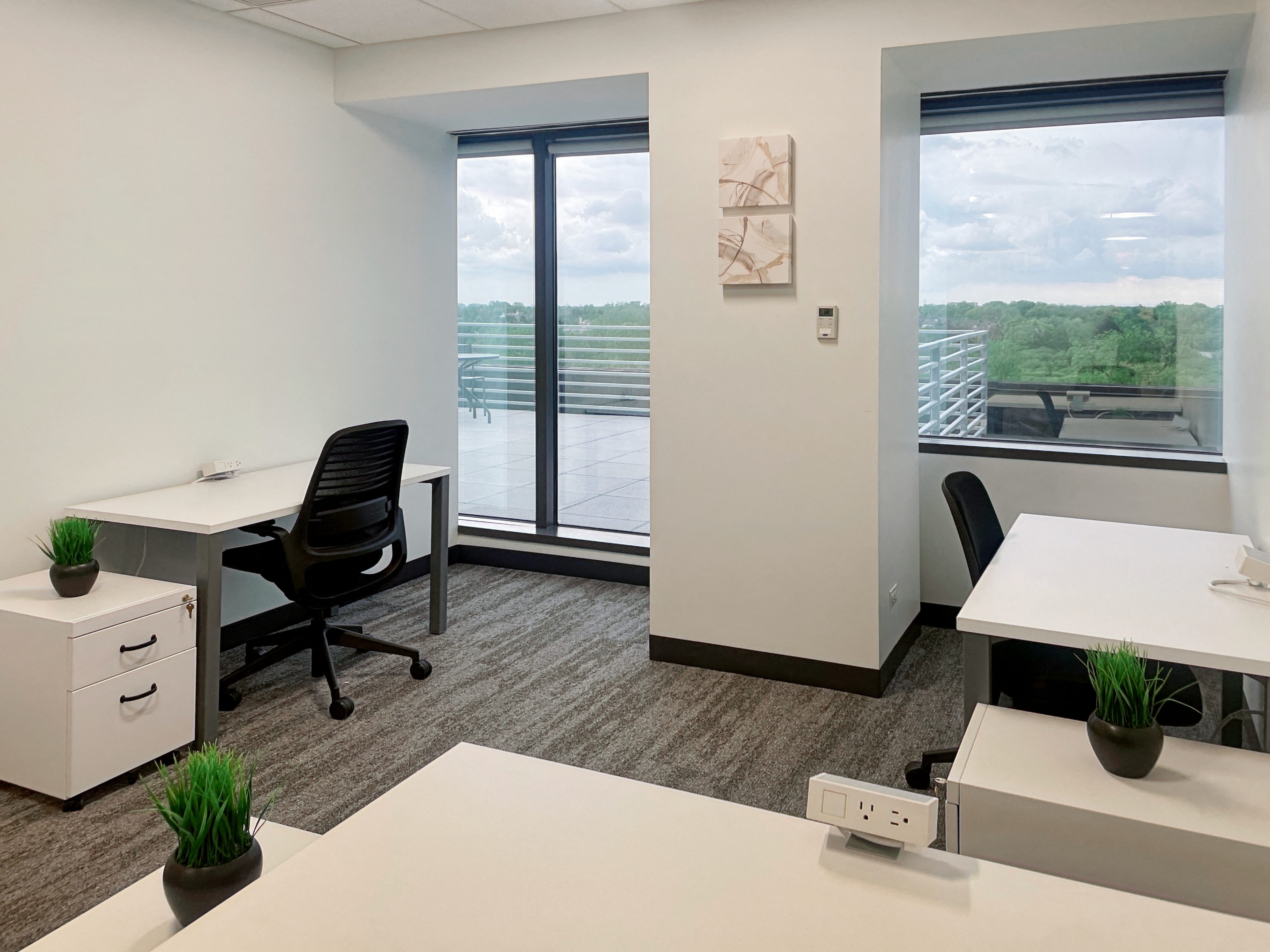 Private Office To Rent, Chicago, 60559 – photo 6