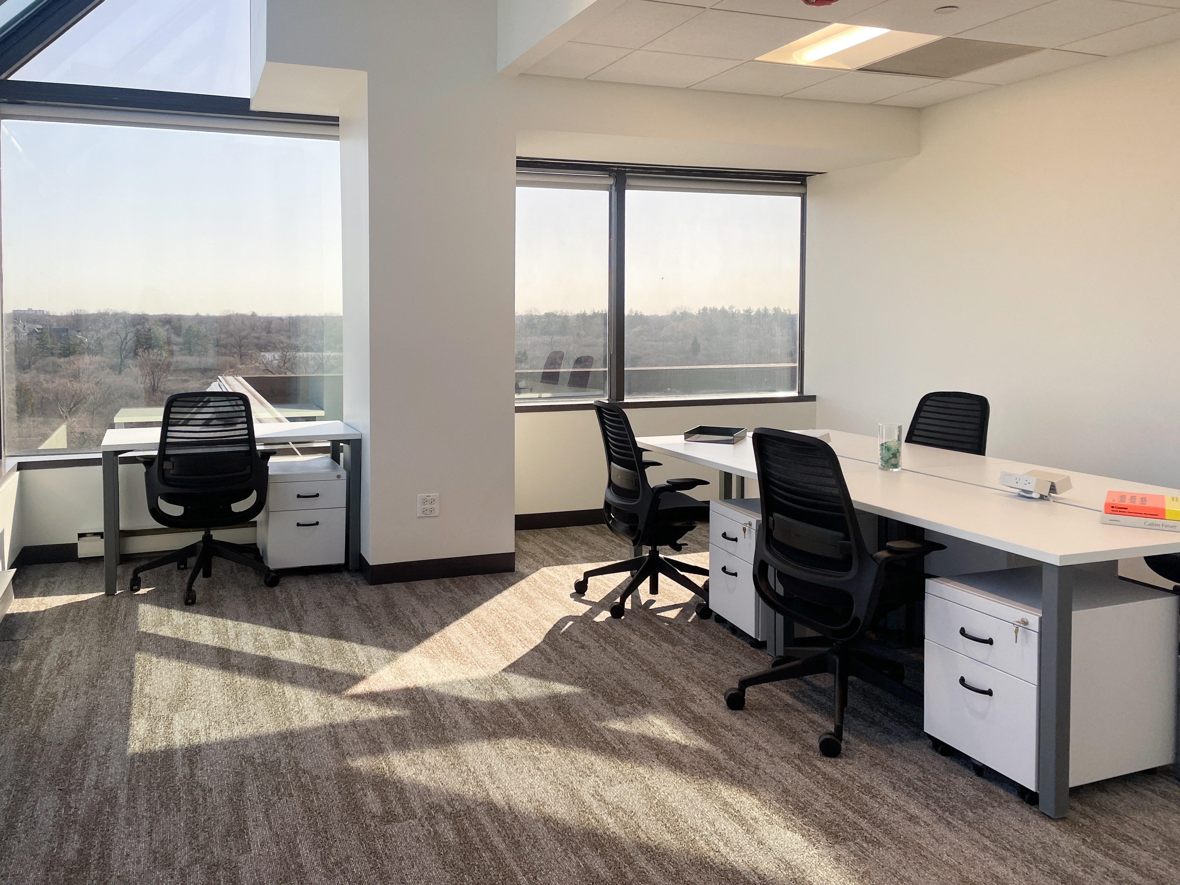 Private Office To Rent, Chicago, 60559 – photo 3