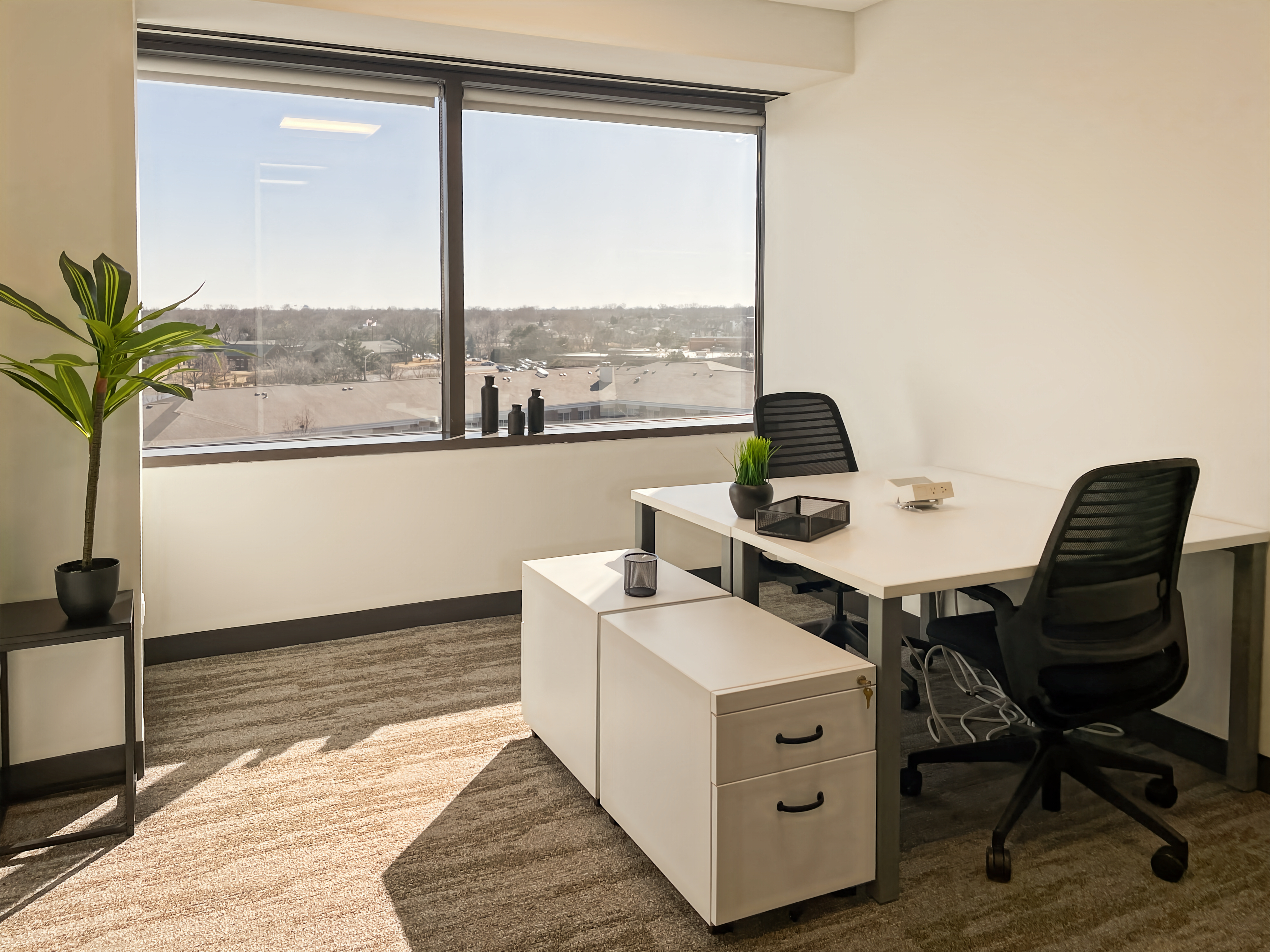 Private Office To Rent, Chicago, 60559 – photo 2
