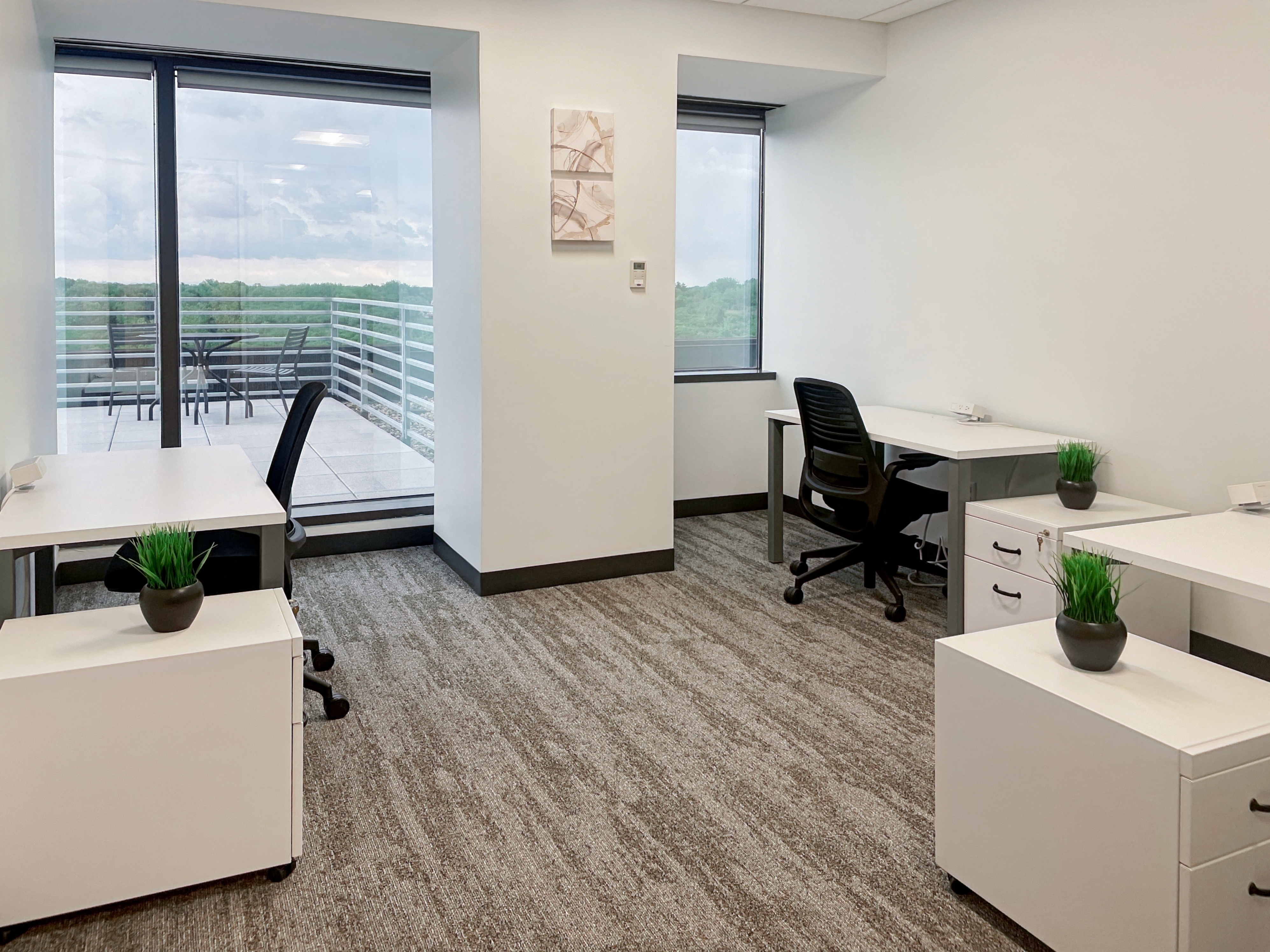 Private Office To Rent, Chicago, 60559 – photo 4
