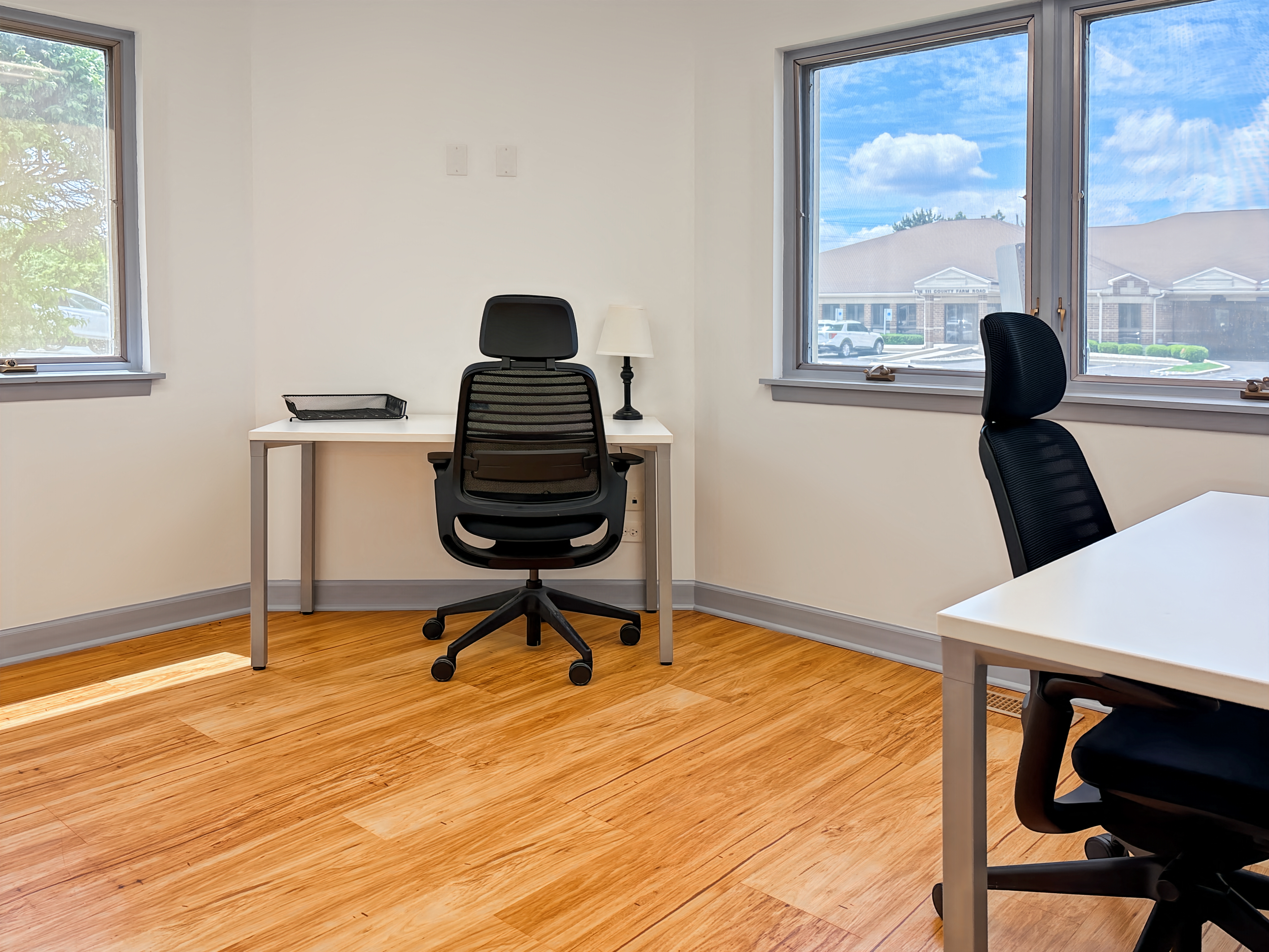 Private Office To Rent, Chicago, 60190 – photo 4