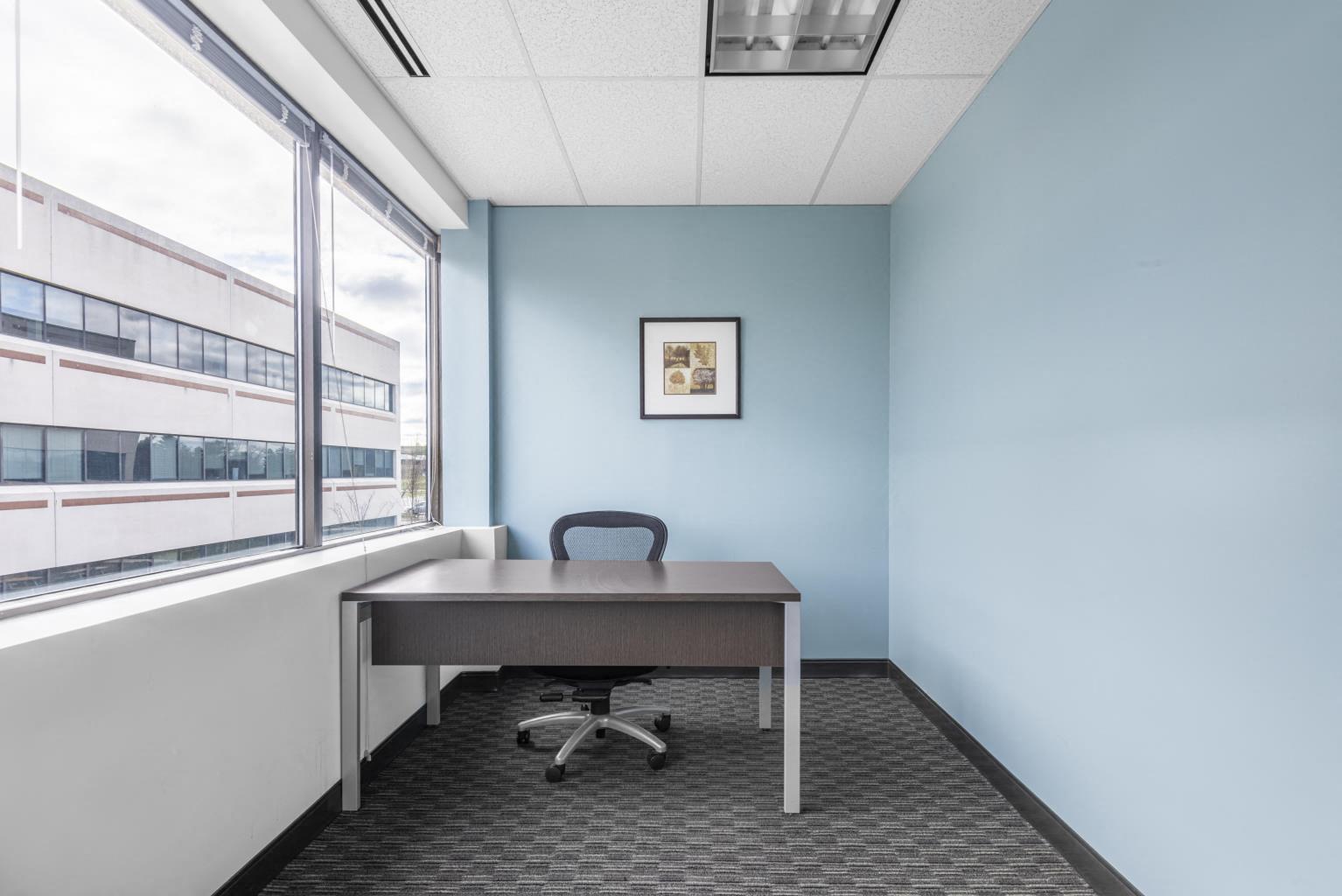 Private Office To Rent, Philadelphia, 19422 – photo 4