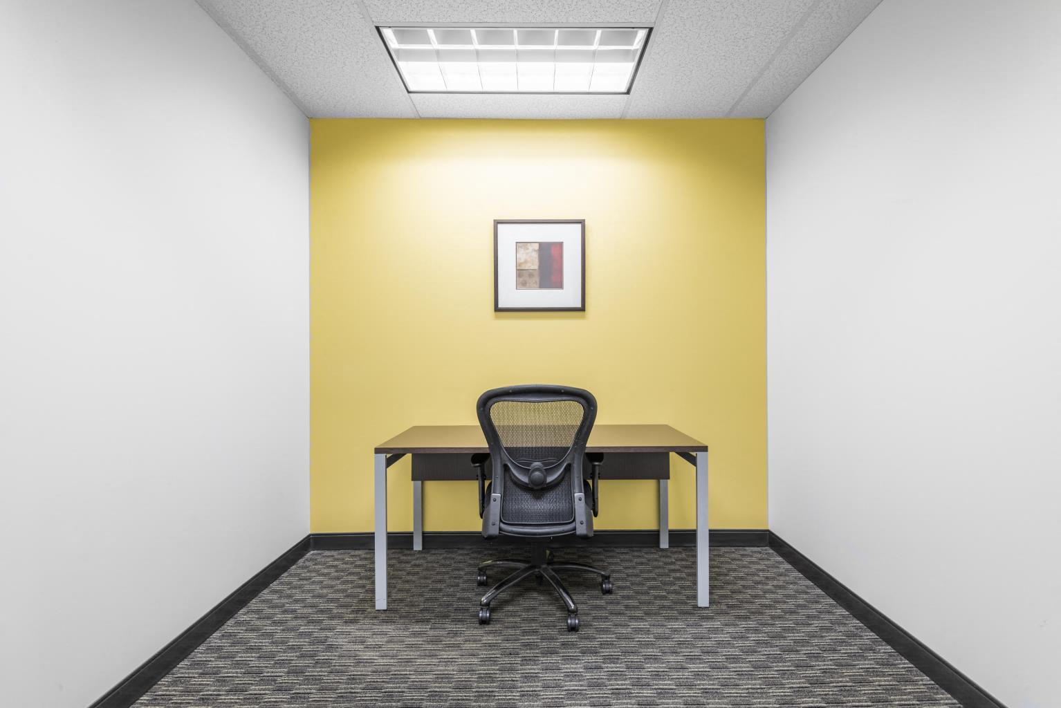Private Office To Rent, Philadelphia, 19422 – photo 5