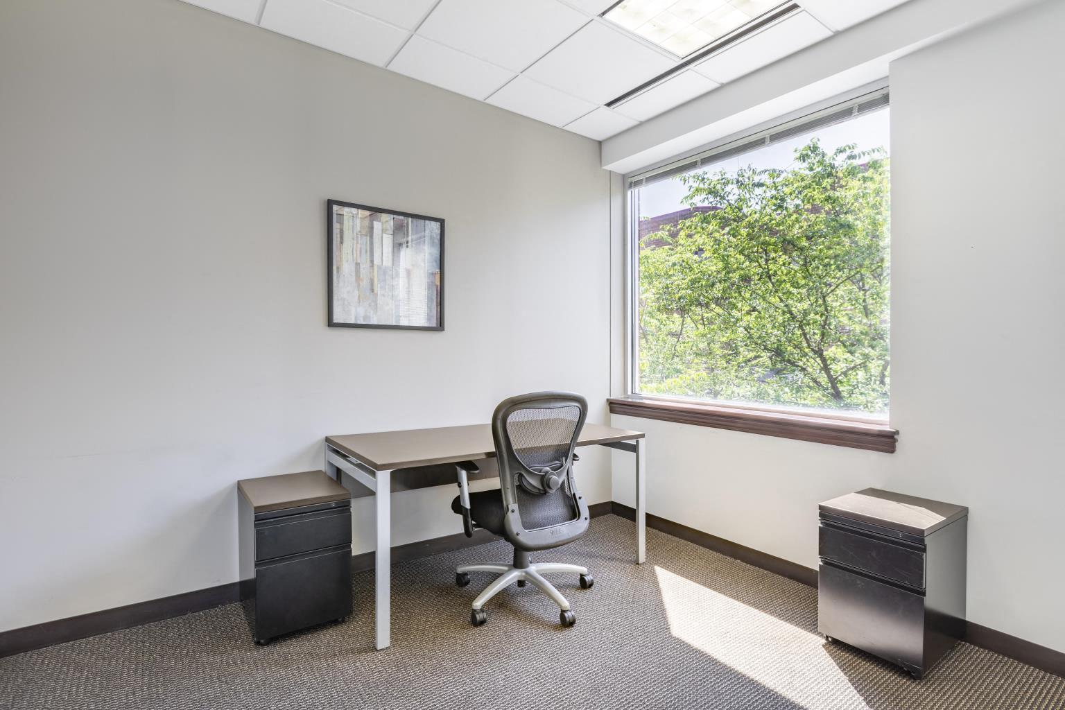 Private Office To Rent, Philadelphia, 19317 – photo 3