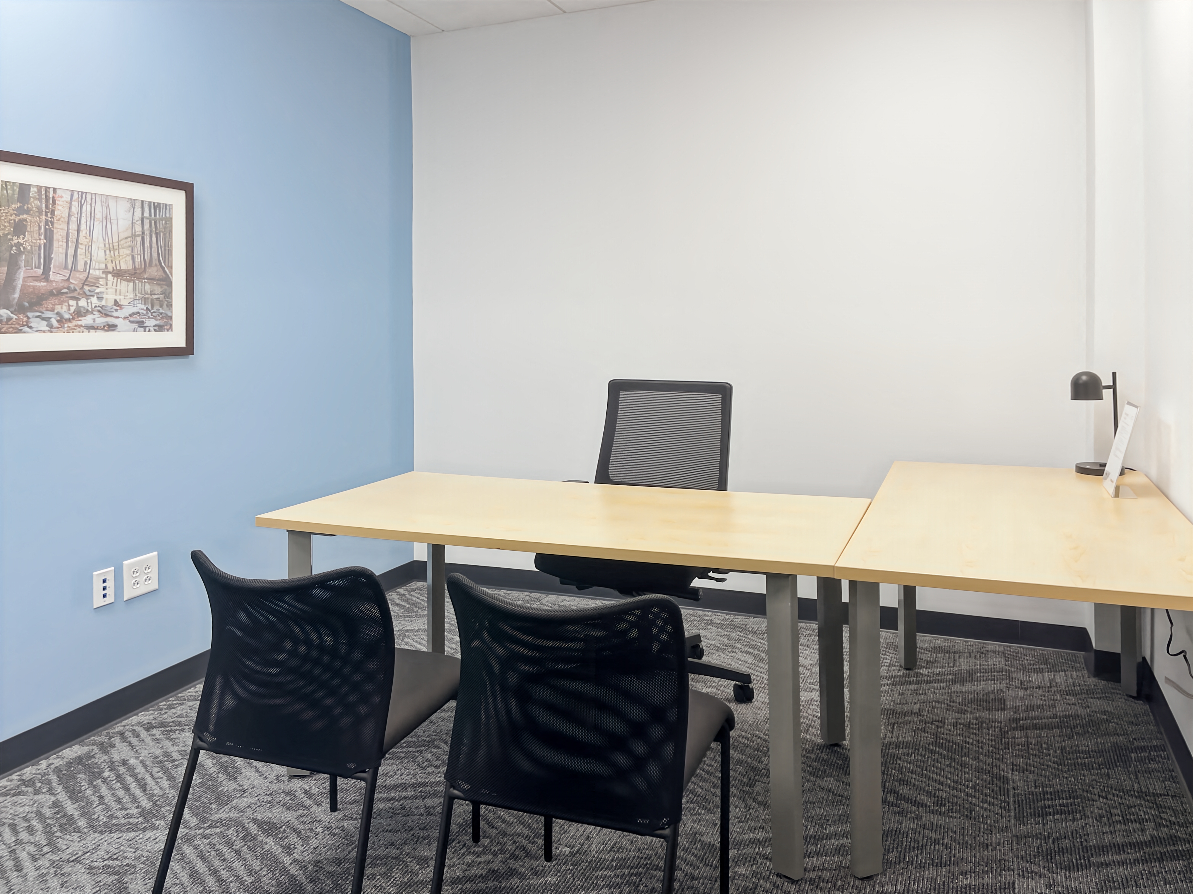 Private Office To Rent, Philadelphia, 19446 – photo 3