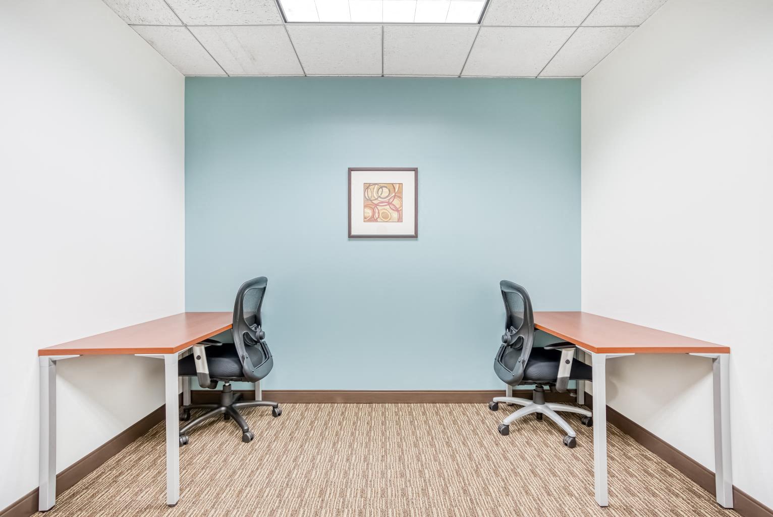 Private Office To Rent, Philadelphia, 19428 – photo 2