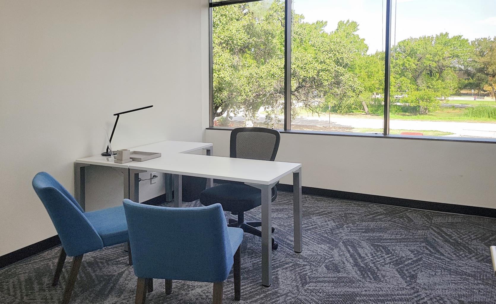 Private Office To Rent, Dallas, 75247 – photo 3