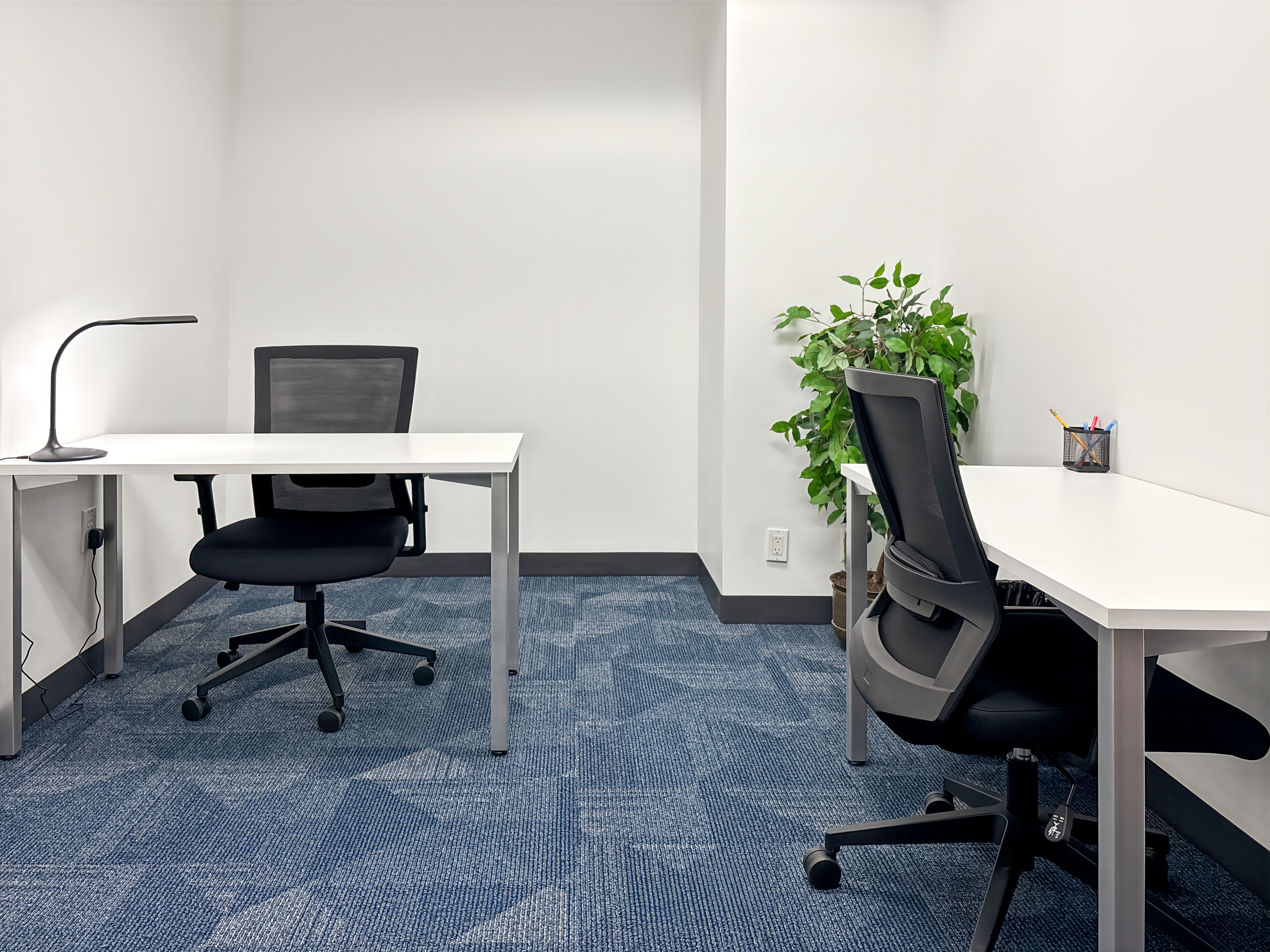 Private Office To Rent, Houston, 77074 – photo 5