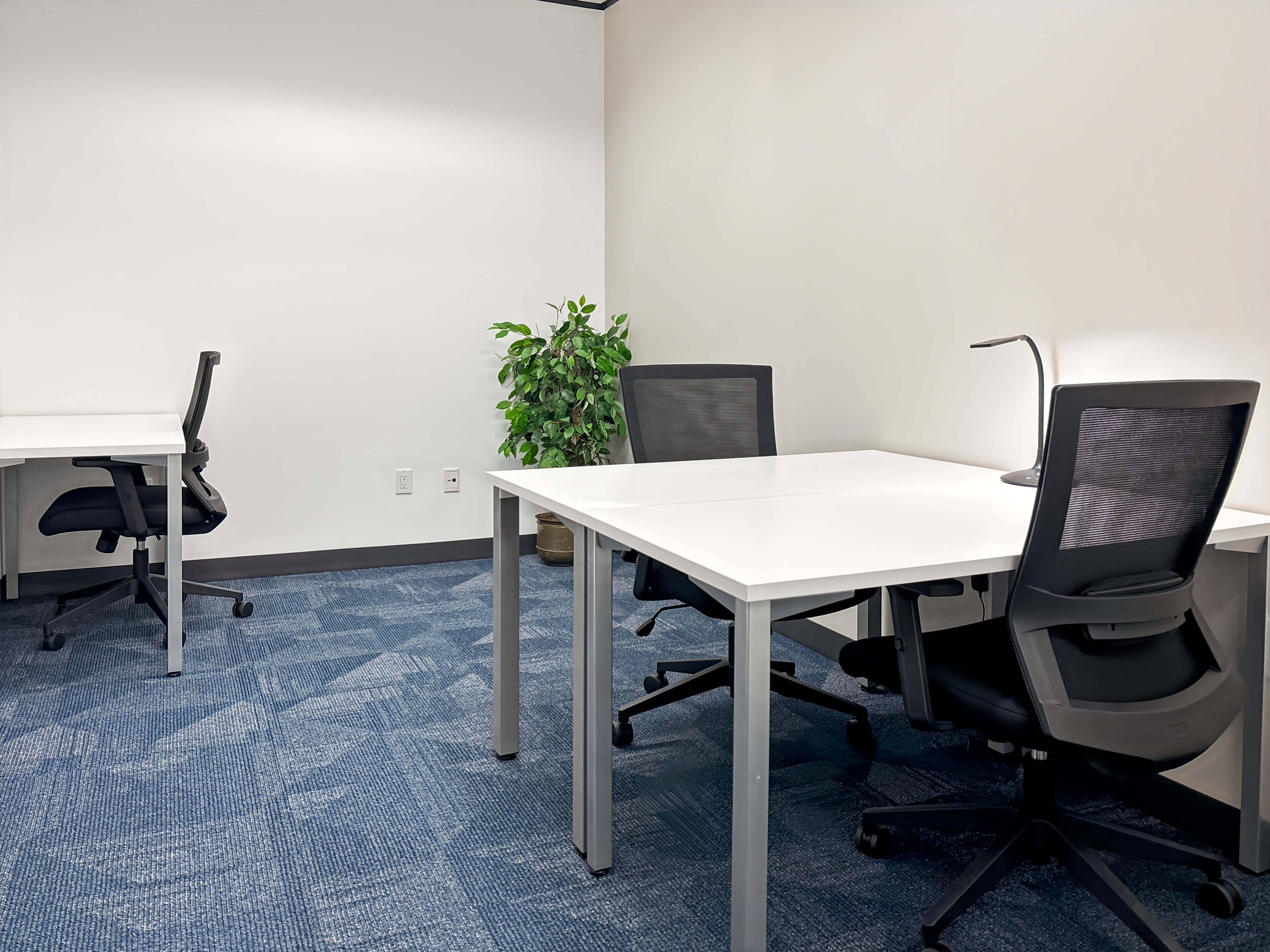 Private Office To Rent, Houston, 77074 – photo 4