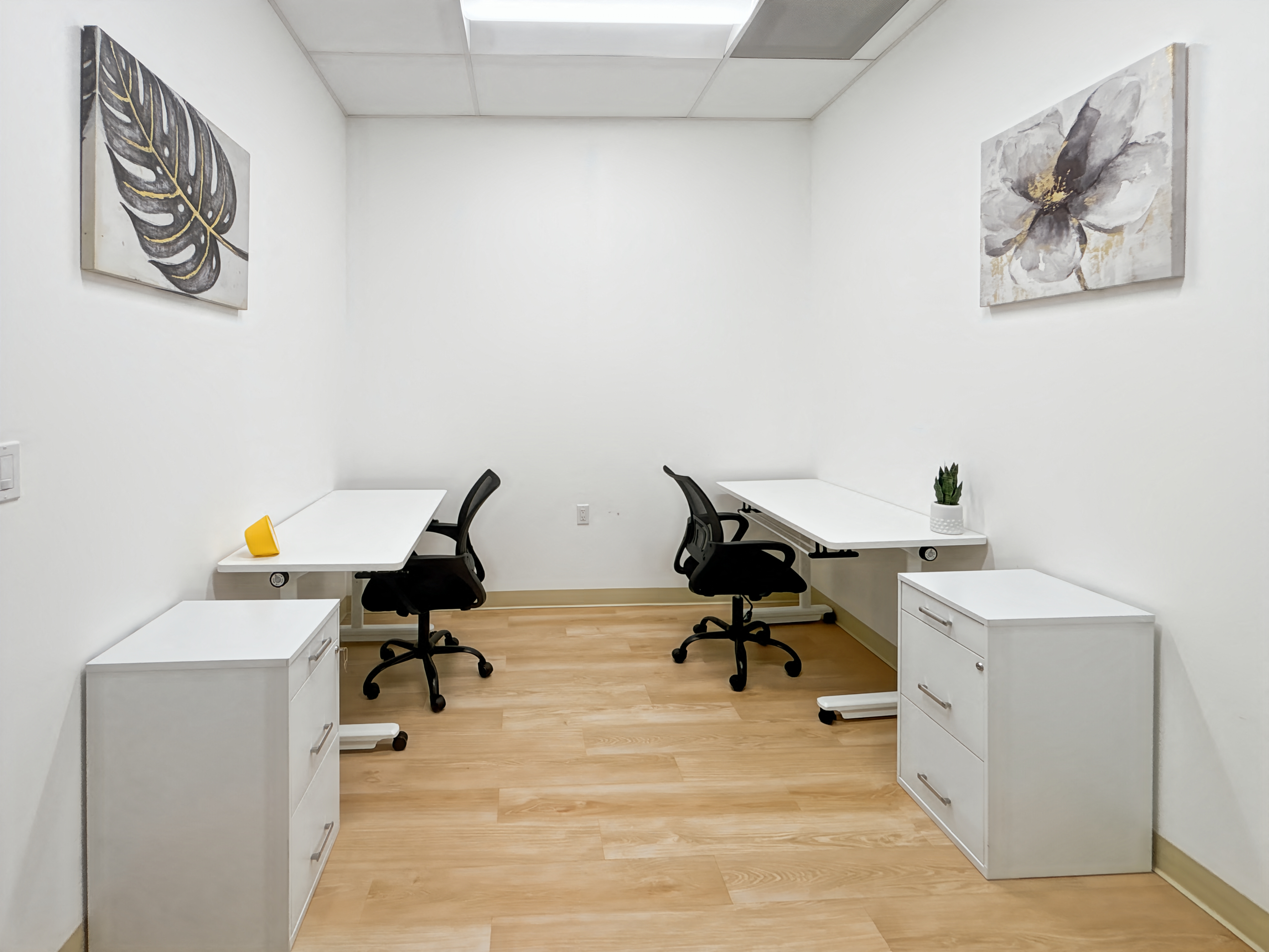 Private Office To Rent, Houston, 77054 – photo 1