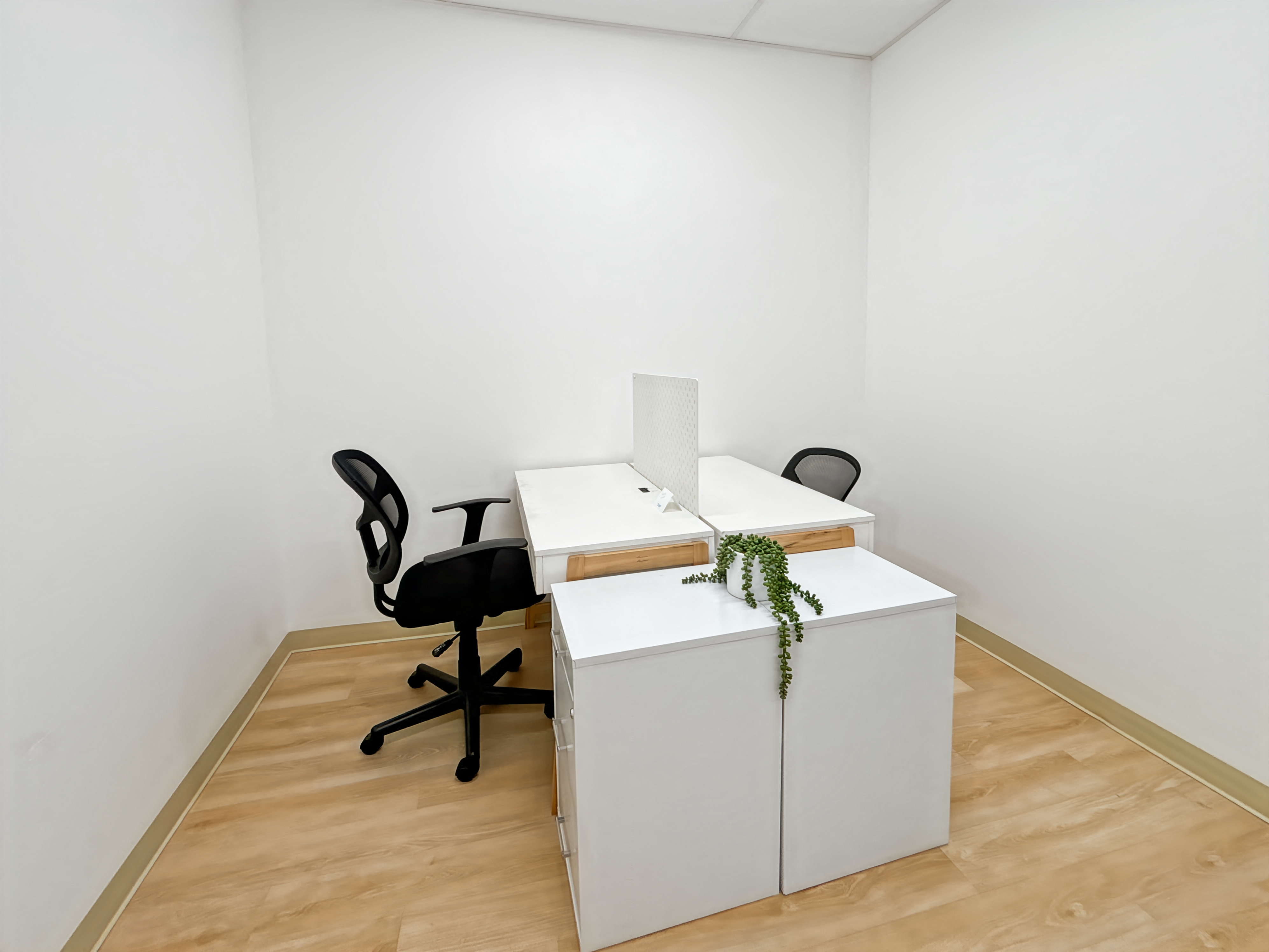 Private Office To Rent, Houston, 77054 – photo 4