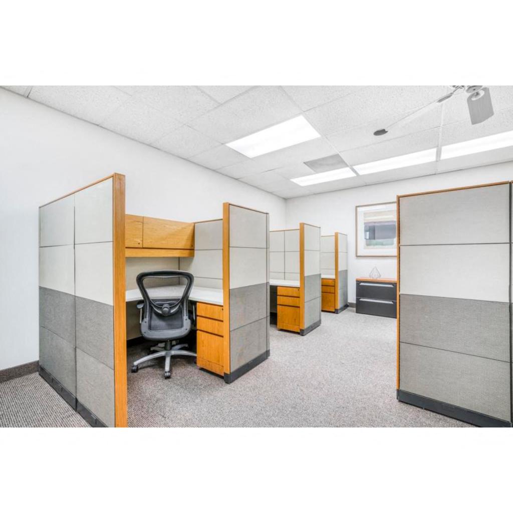Private Office To Rent, Dallas, 75074 – photo 4