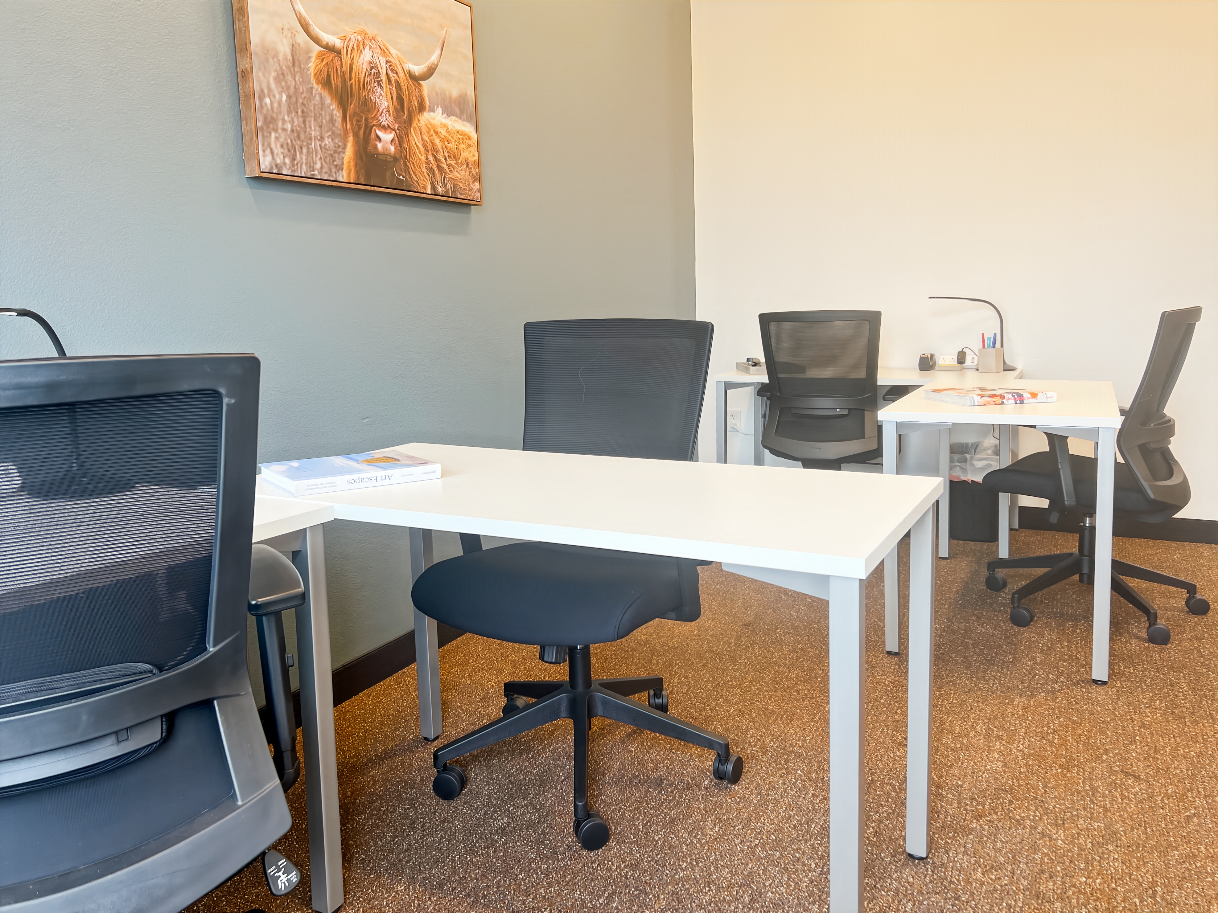 Private Office To Rent, Dallas, 76028 – photo 3