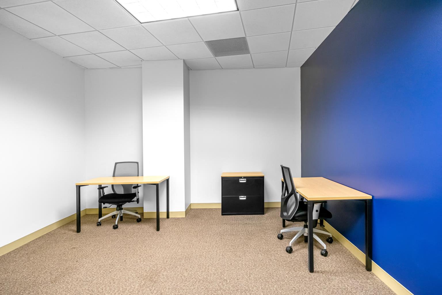 Private Office To Rent, Dallas, 75201 – photo 2