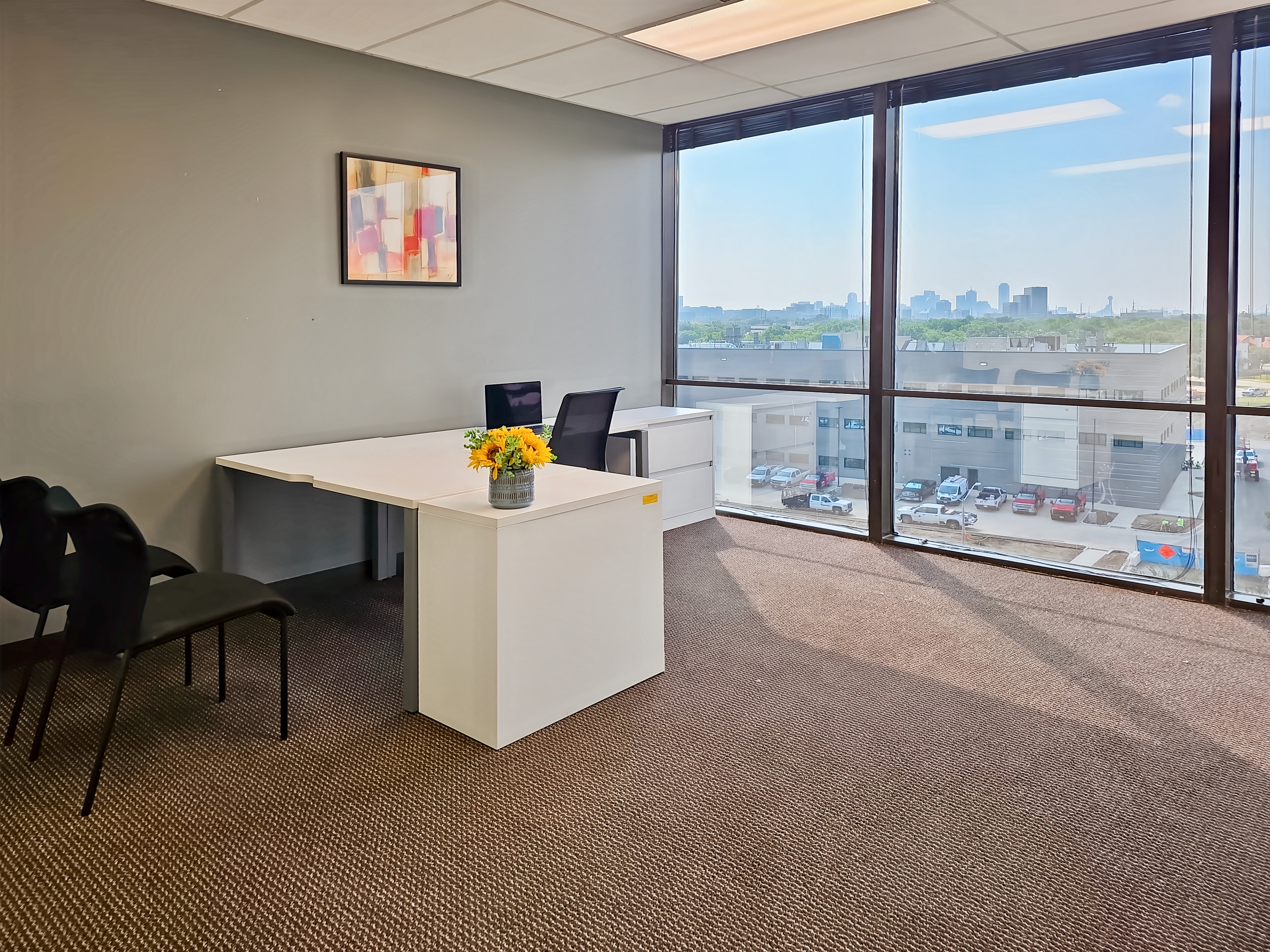 Private Office To Rent, Dallas, 75247 – photo 4