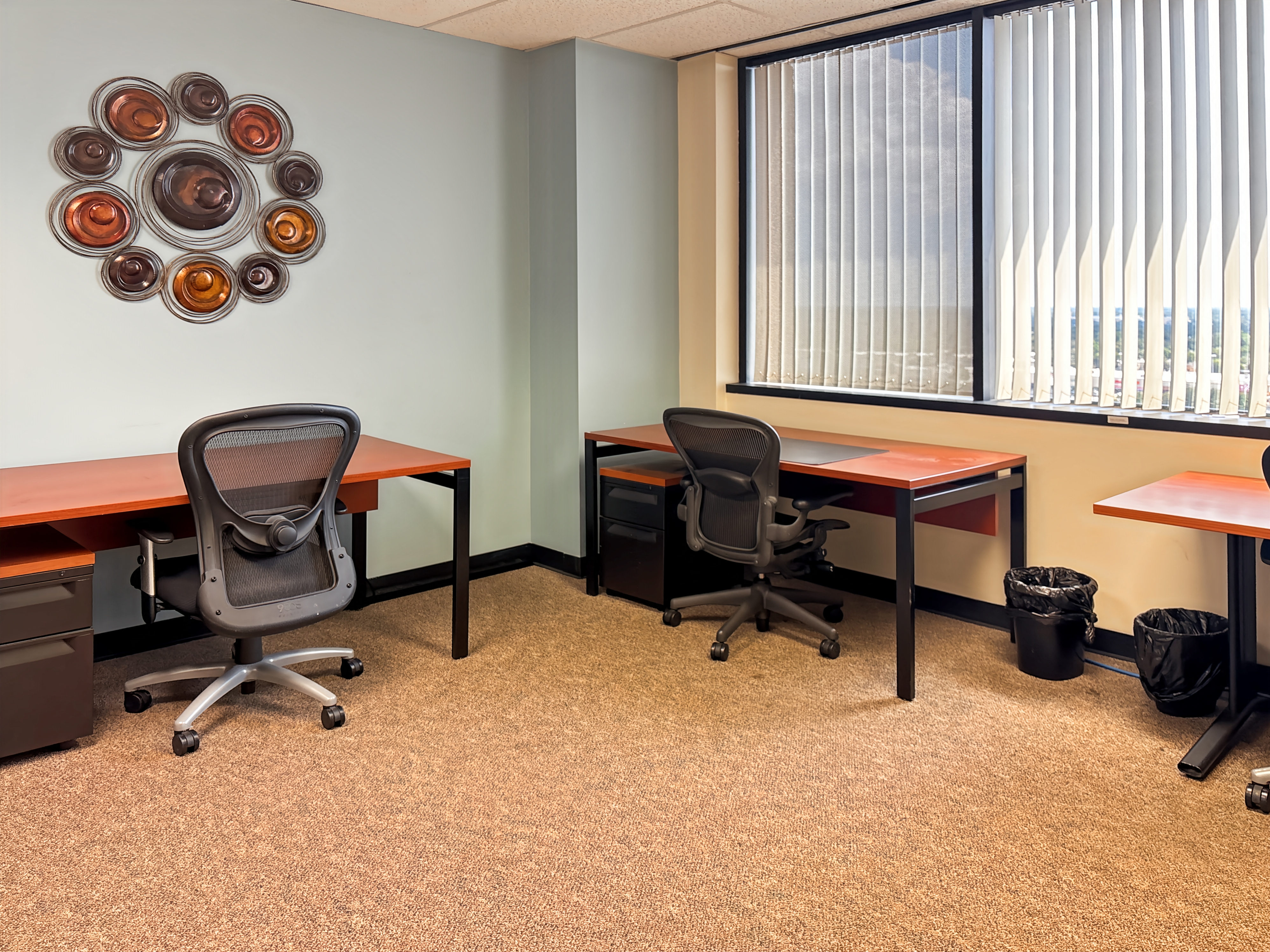 Private Office To Rent, Dallas, 75243 – photo 3