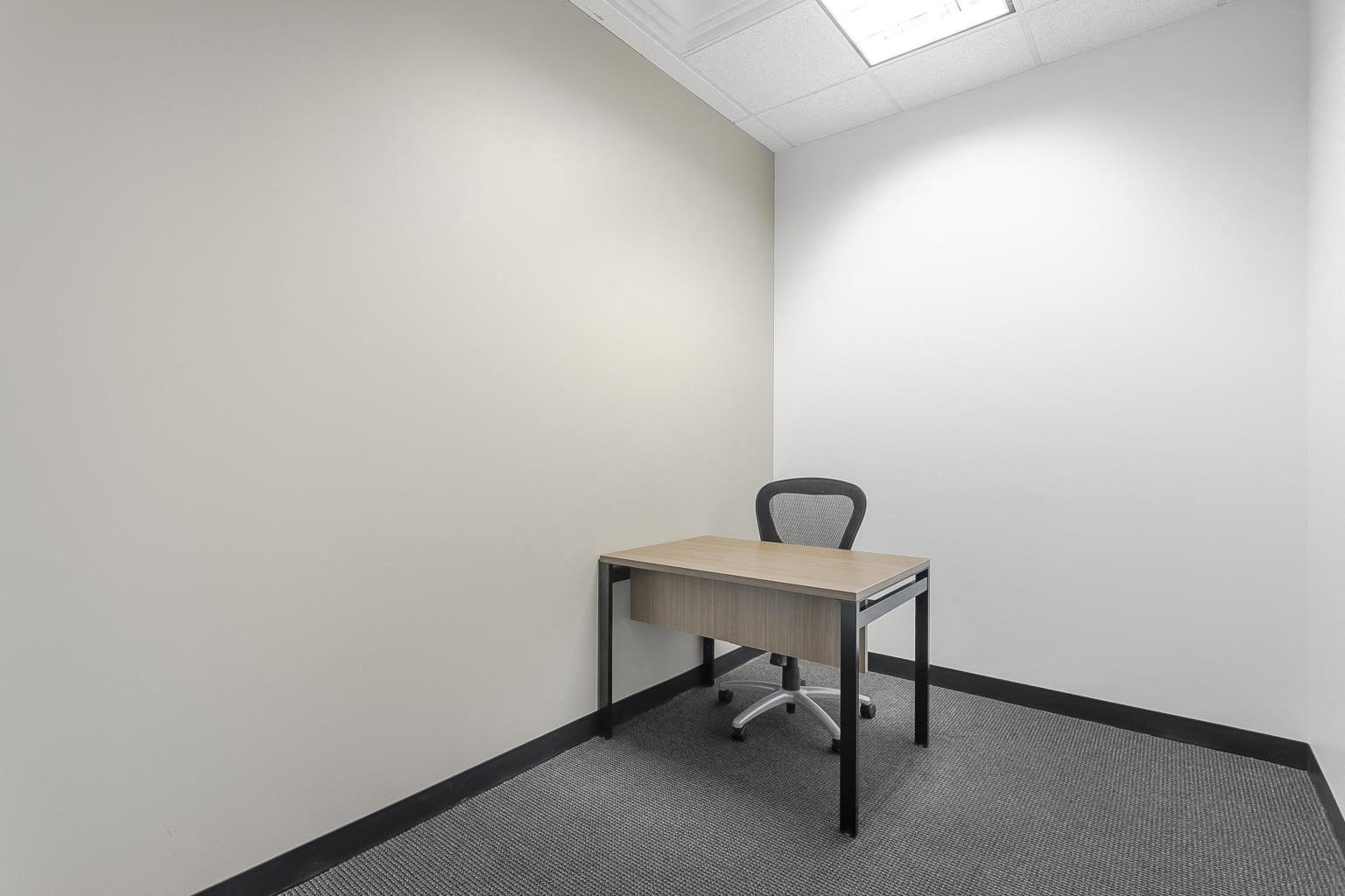 Private Office To Rent, Dallas, 75034 – photo 3