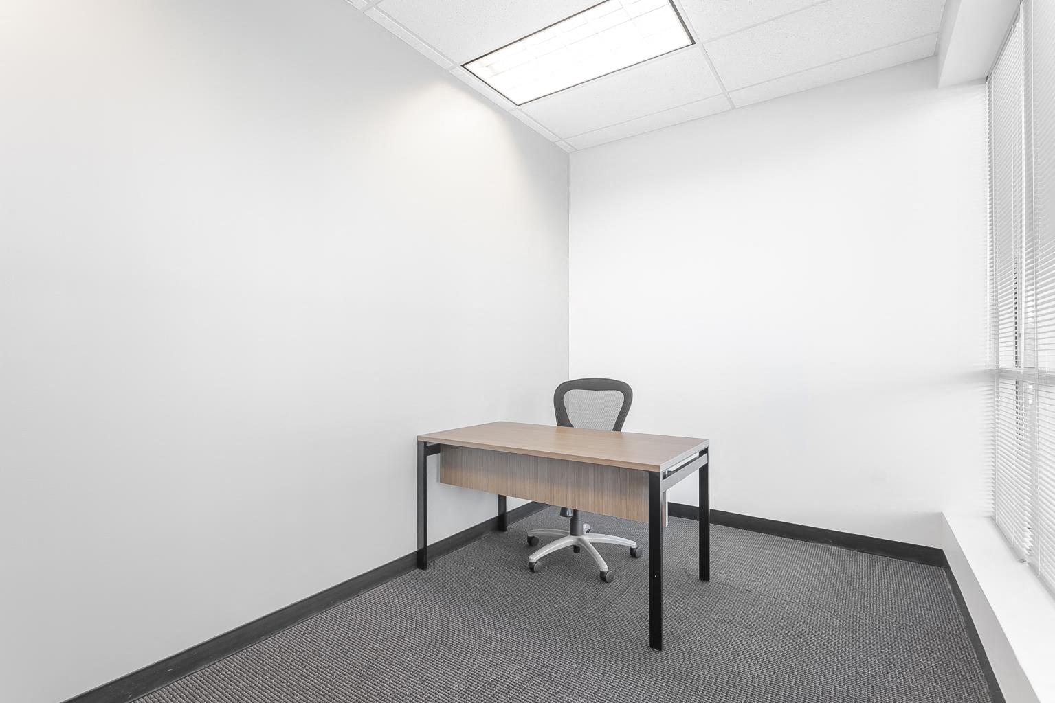 Private Office To Rent, Dallas, 75034 – photo 2