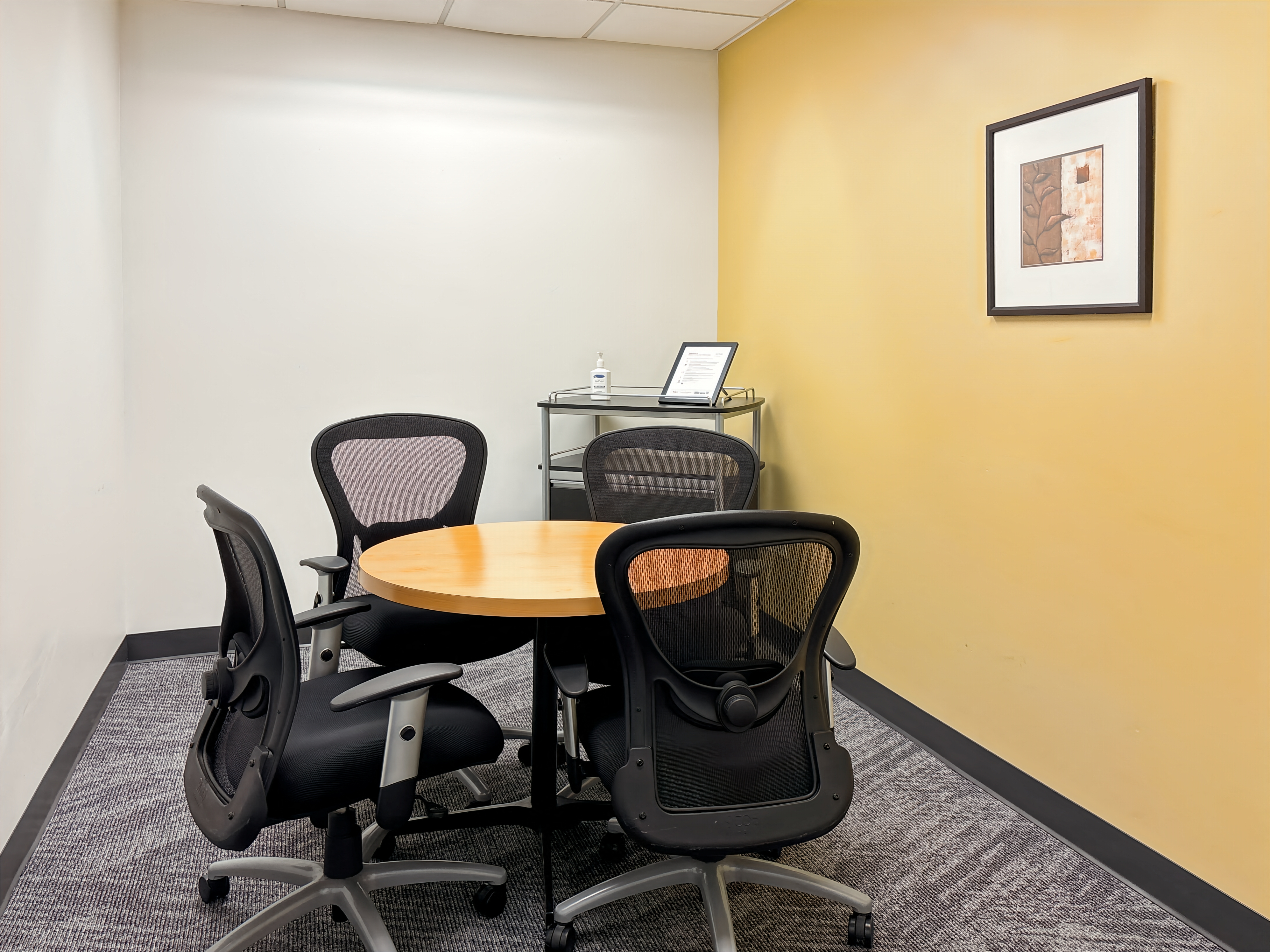 Private Office To Rent, Dallas, 75040 – photo 5
