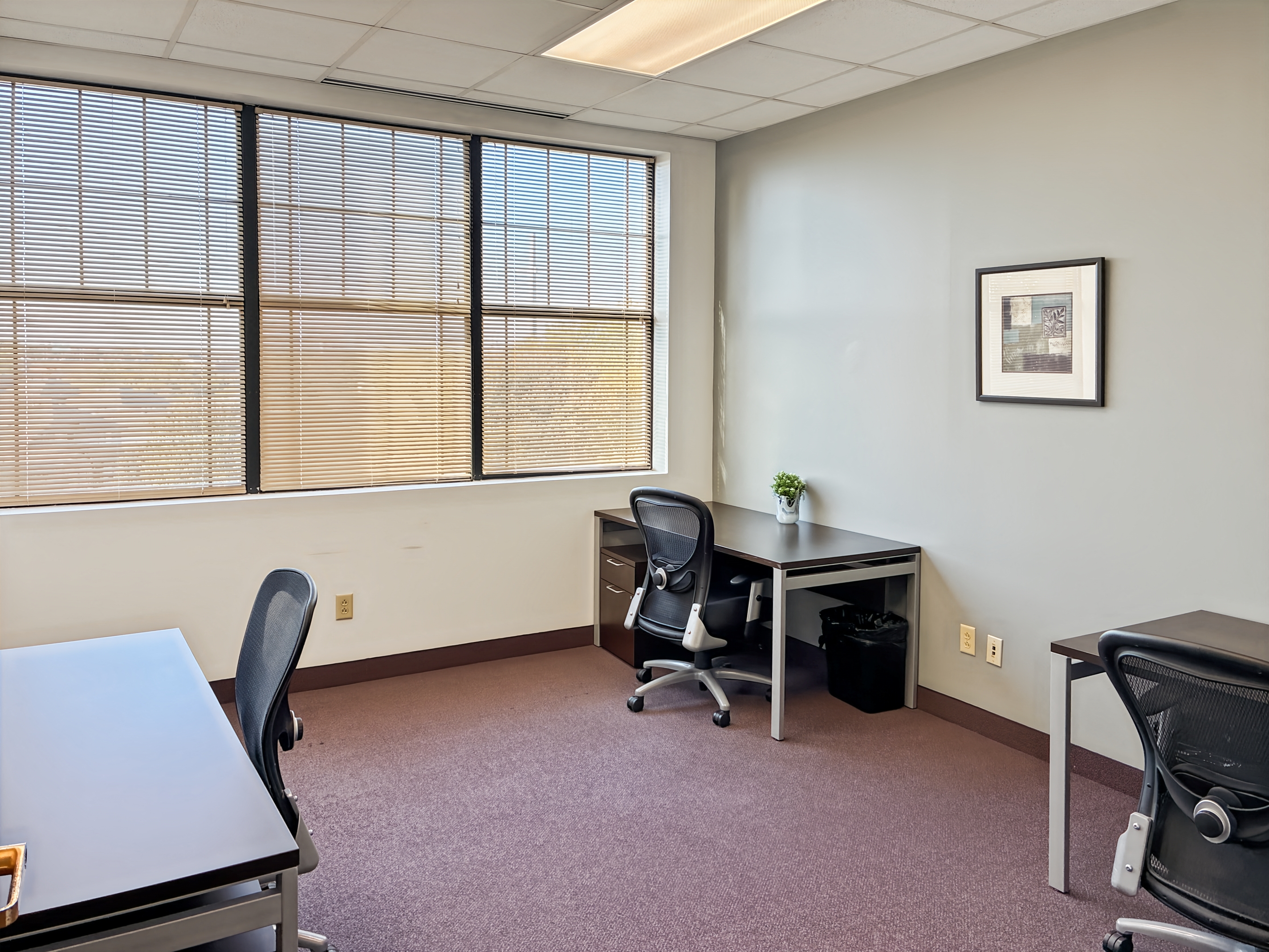 Private Office To Rent, Dallas, 76051 – photo 4