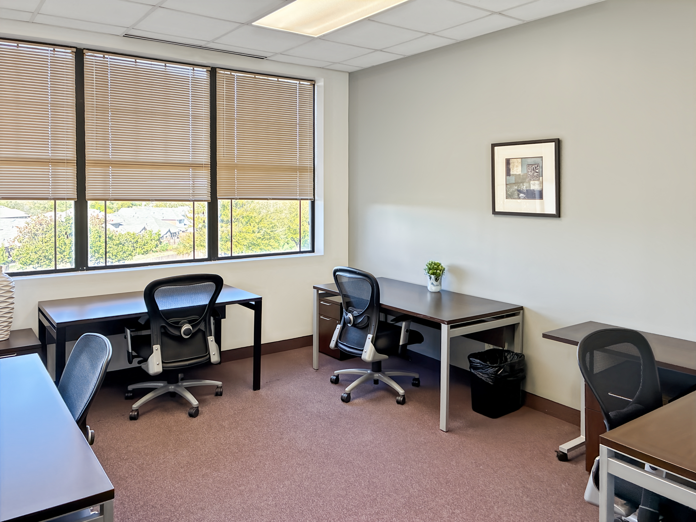 Private Office To Rent, Dallas, 76051 – photo 5