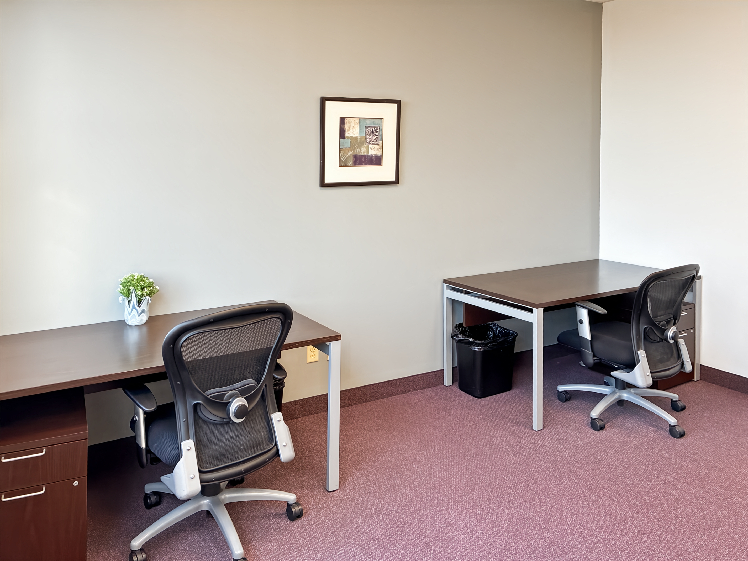 Private Office To Rent, Dallas, 76051 – photo 2