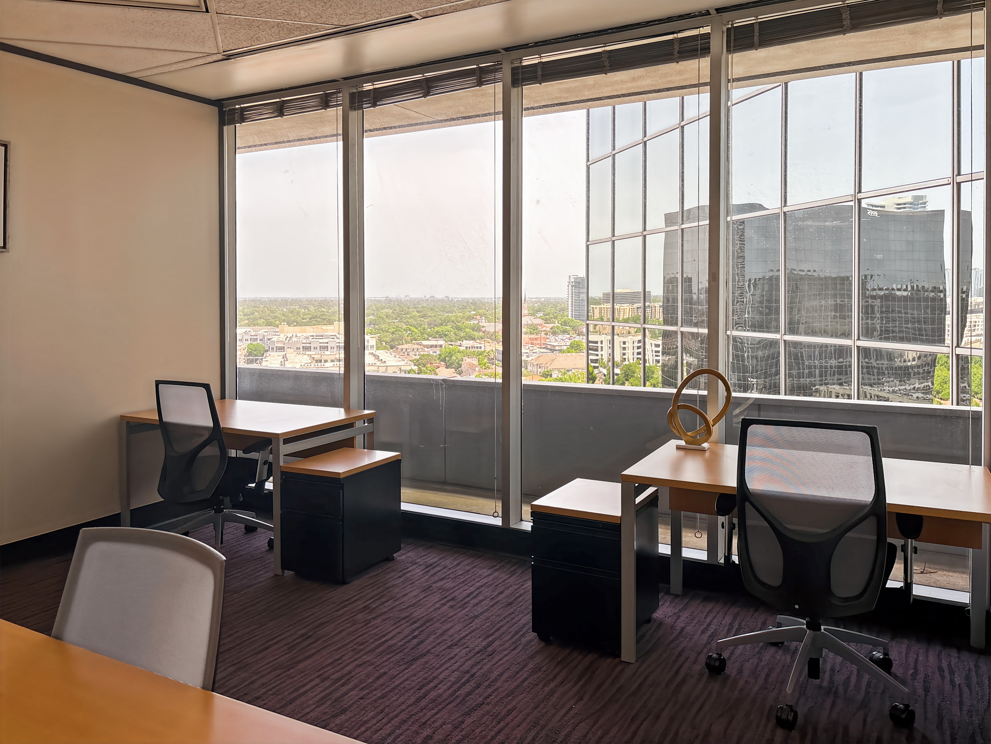 Private Office To Rent, Houston, 77046 – photo 4