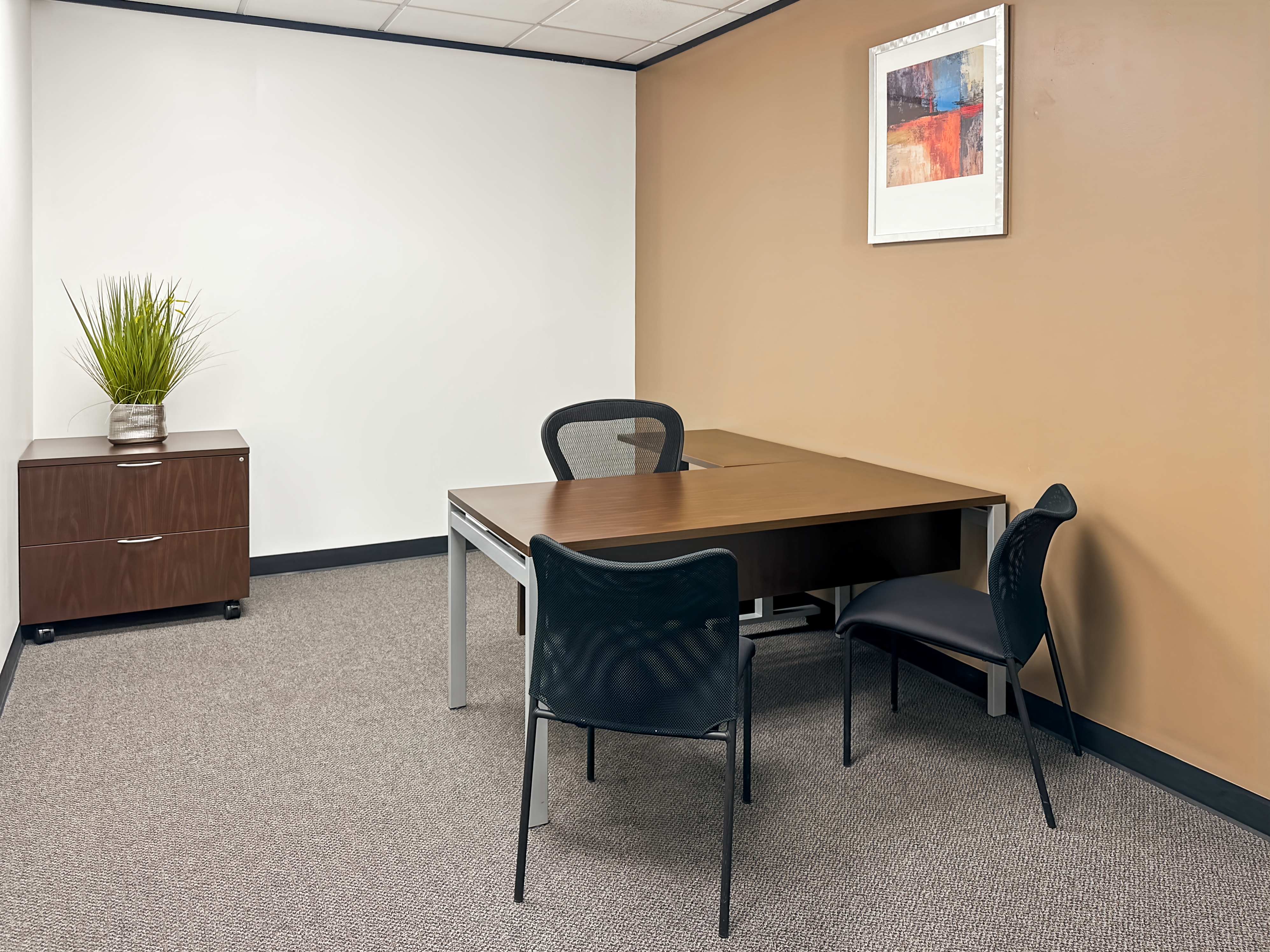 Private Office To Rent, Houston, 77040 – photo 6