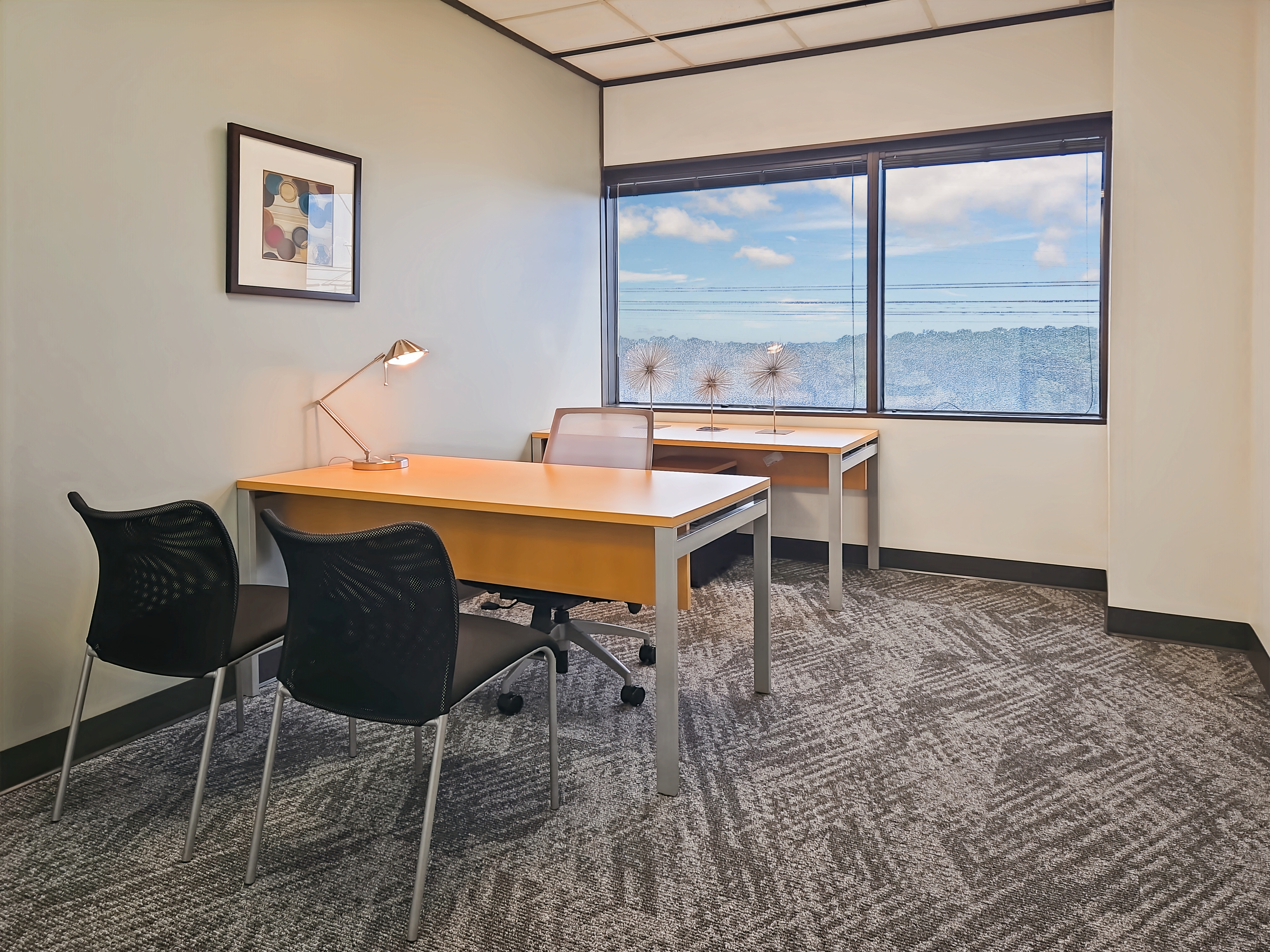 Private Office To Rent, Houston, 77032 – photo 1