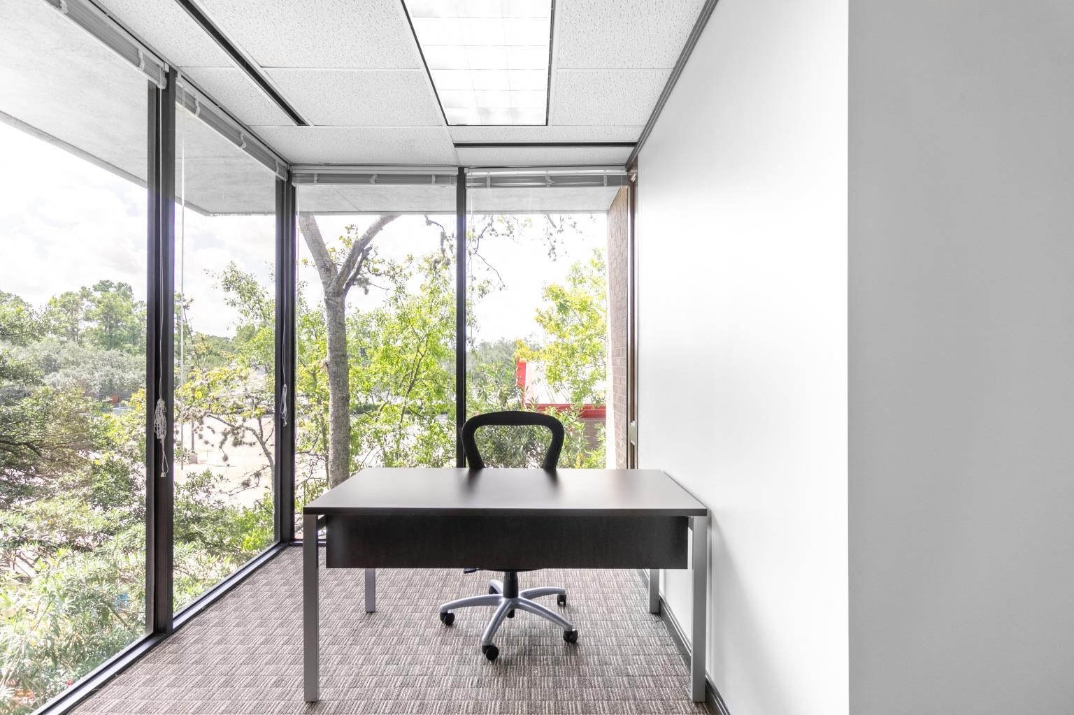 Private Office To Rent, Houston, 77024 – photo 1