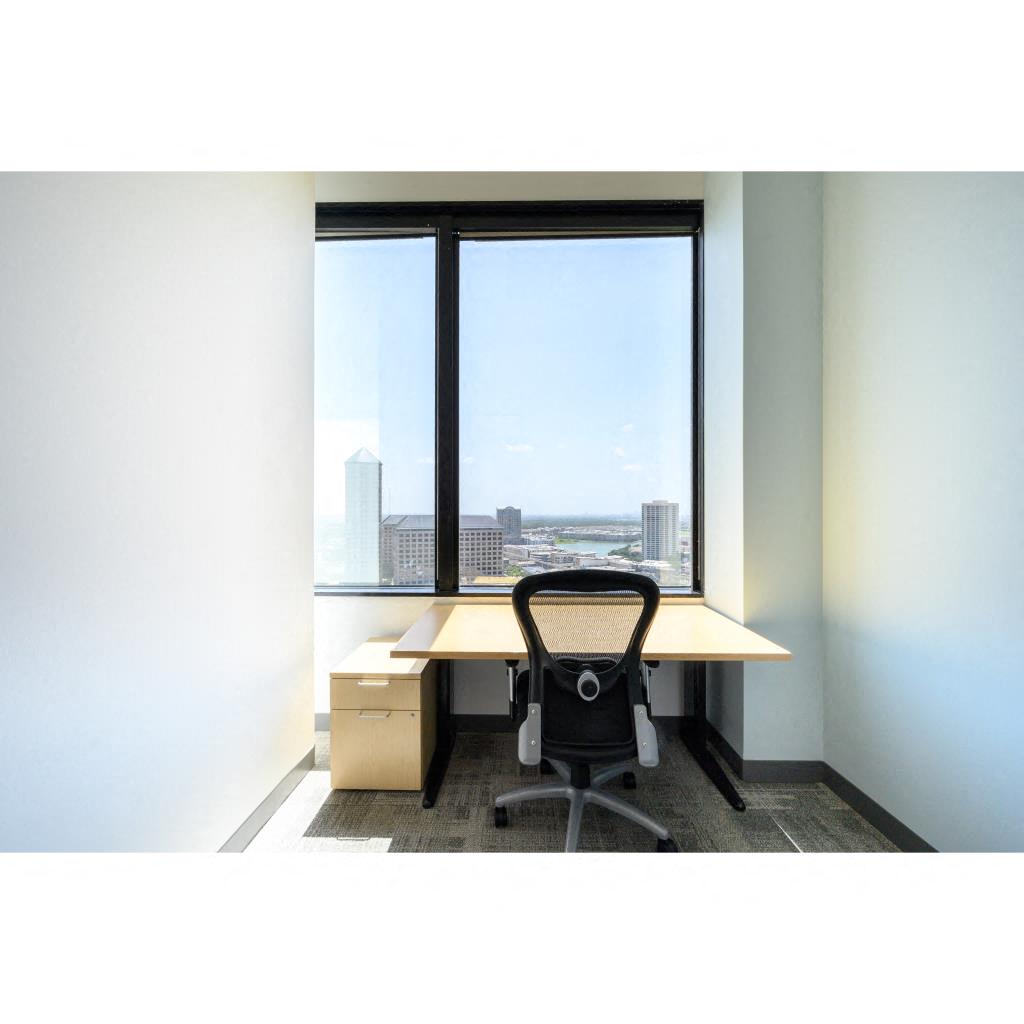 Private Office To Rent, Dallas, 75039 – photo 3
