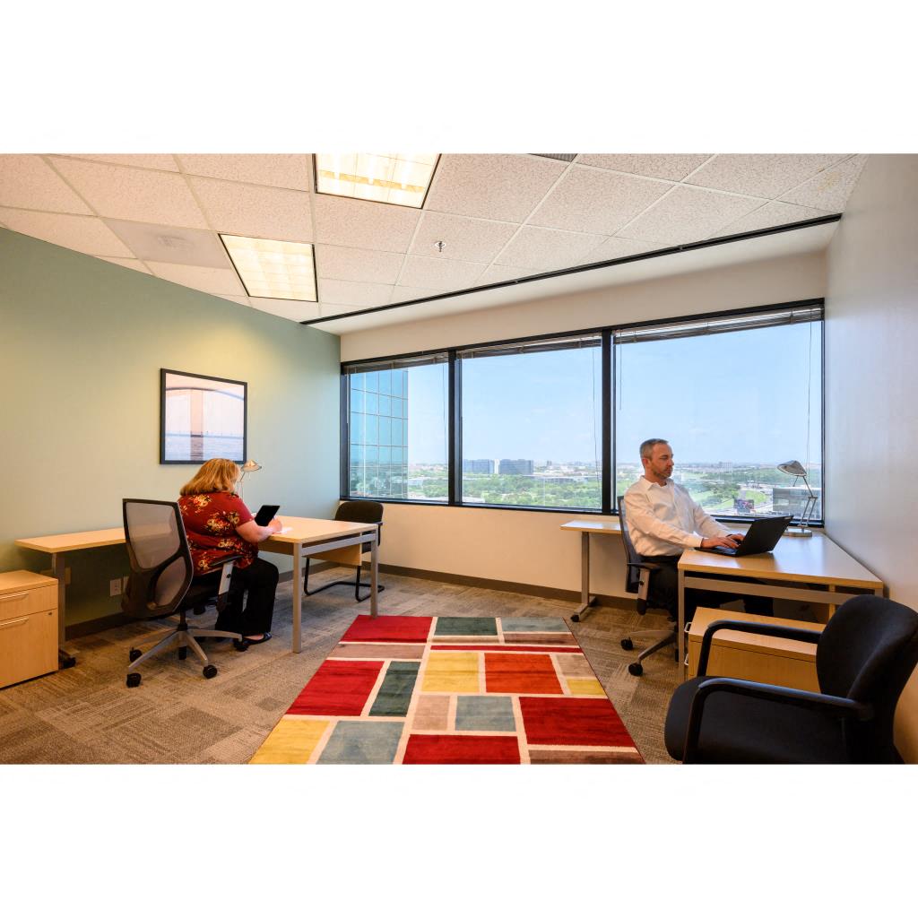 Private Office To Rent, Dallas, 75039 – photo 1