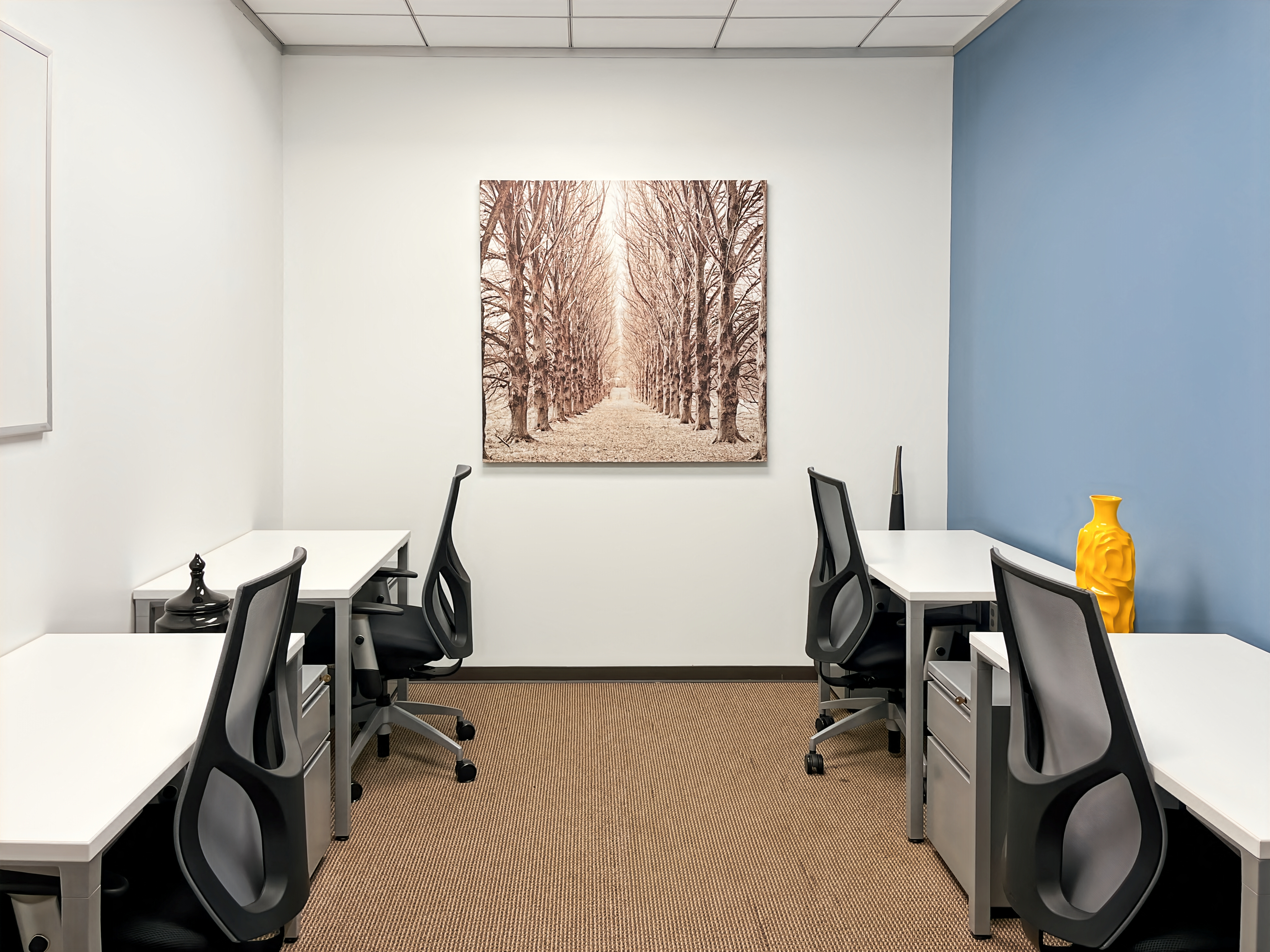 Private Office To Rent, Houston, 77573 – photo 2